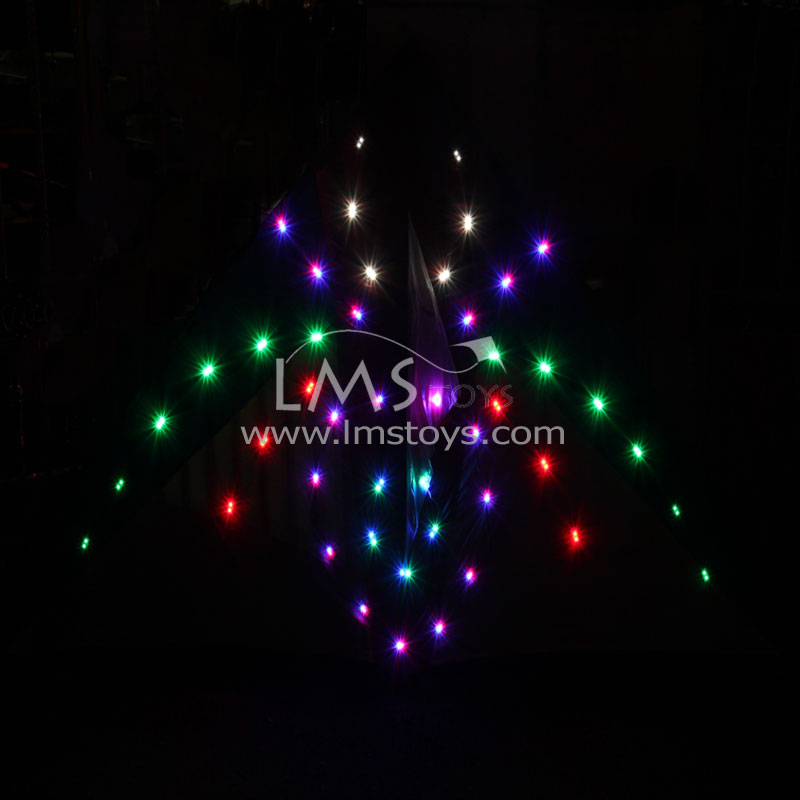 LED Night Kites