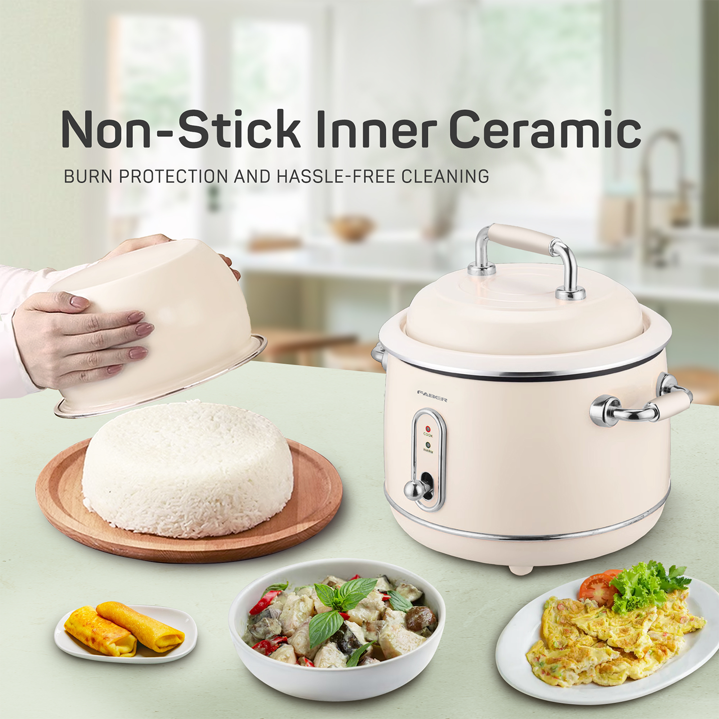 Faber 1.0L Traditional Rice Cooker FRC V401