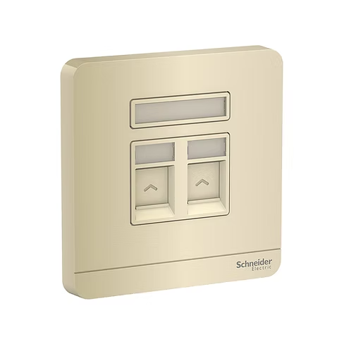 施耐德 AvatarOn 沉醉金 孖位 CAT5E數據插座