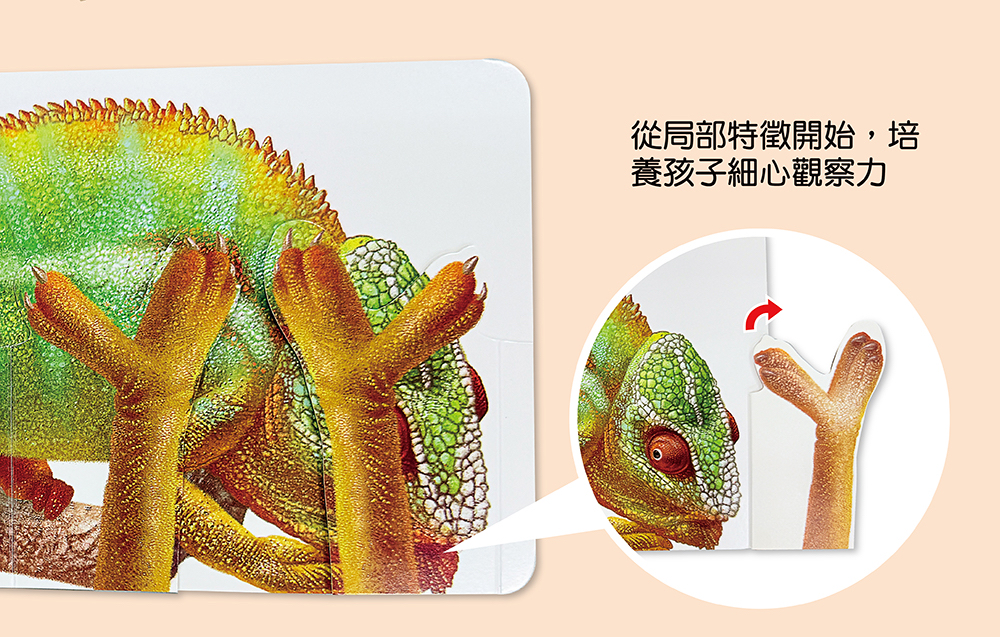 幼福 方形書【動物捉迷藏】