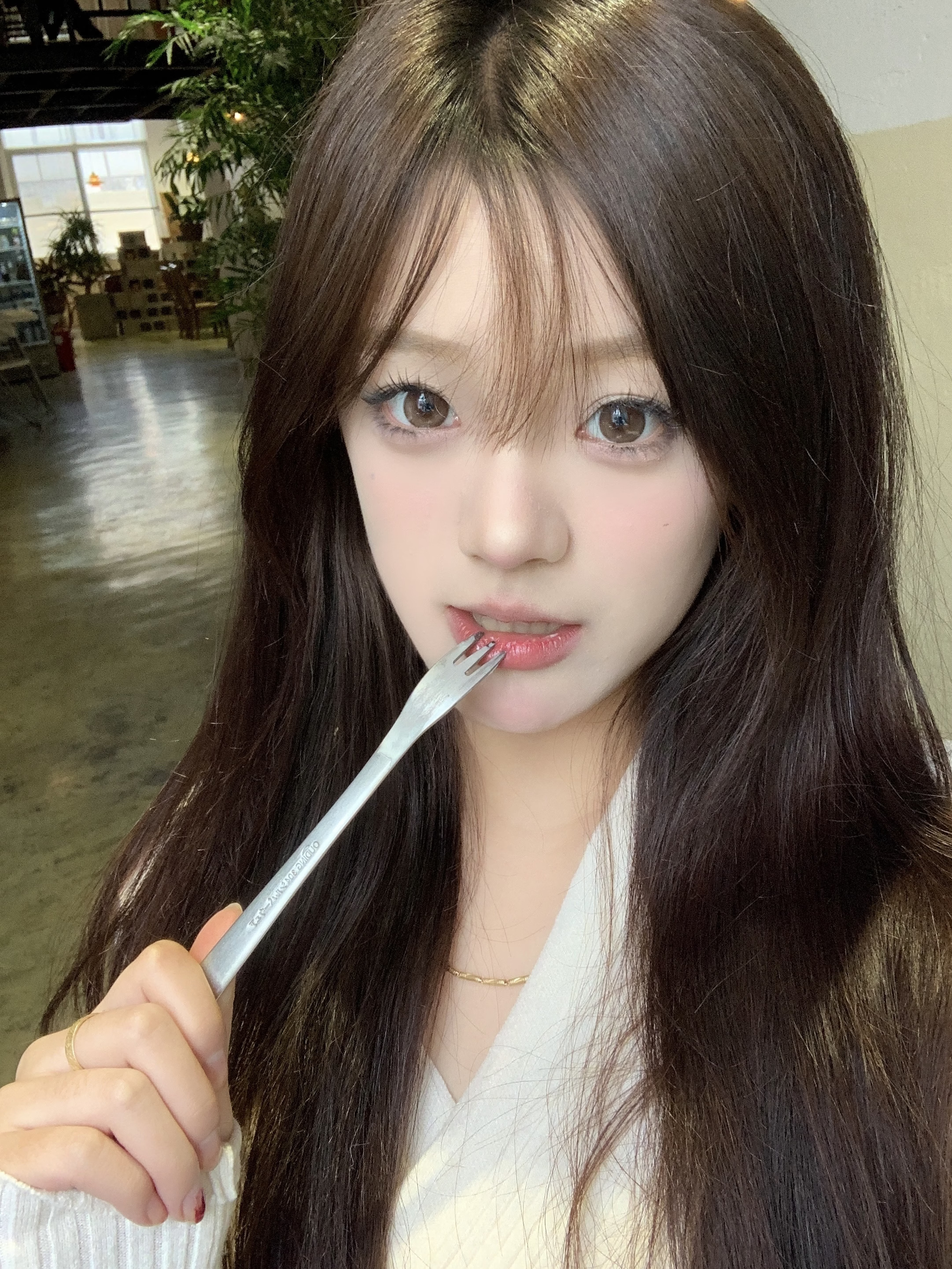 Kaylens 半年拋 肉鬆團子/糯米團子