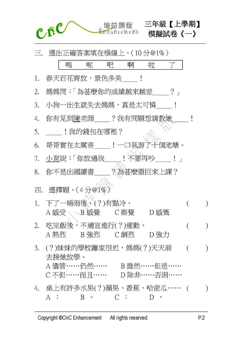  模擬試卷 (三年級)