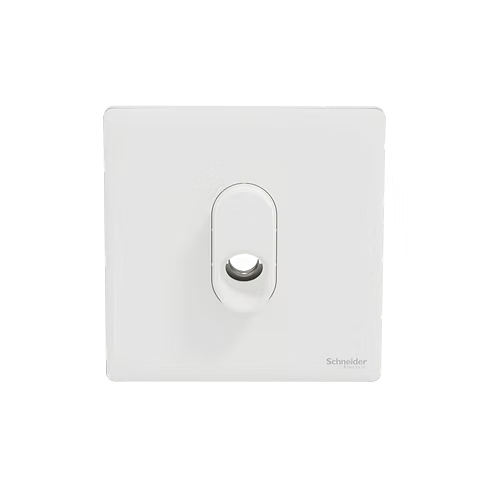 施耐德 Unica X 皎月白 25A肚臍 接線蘇