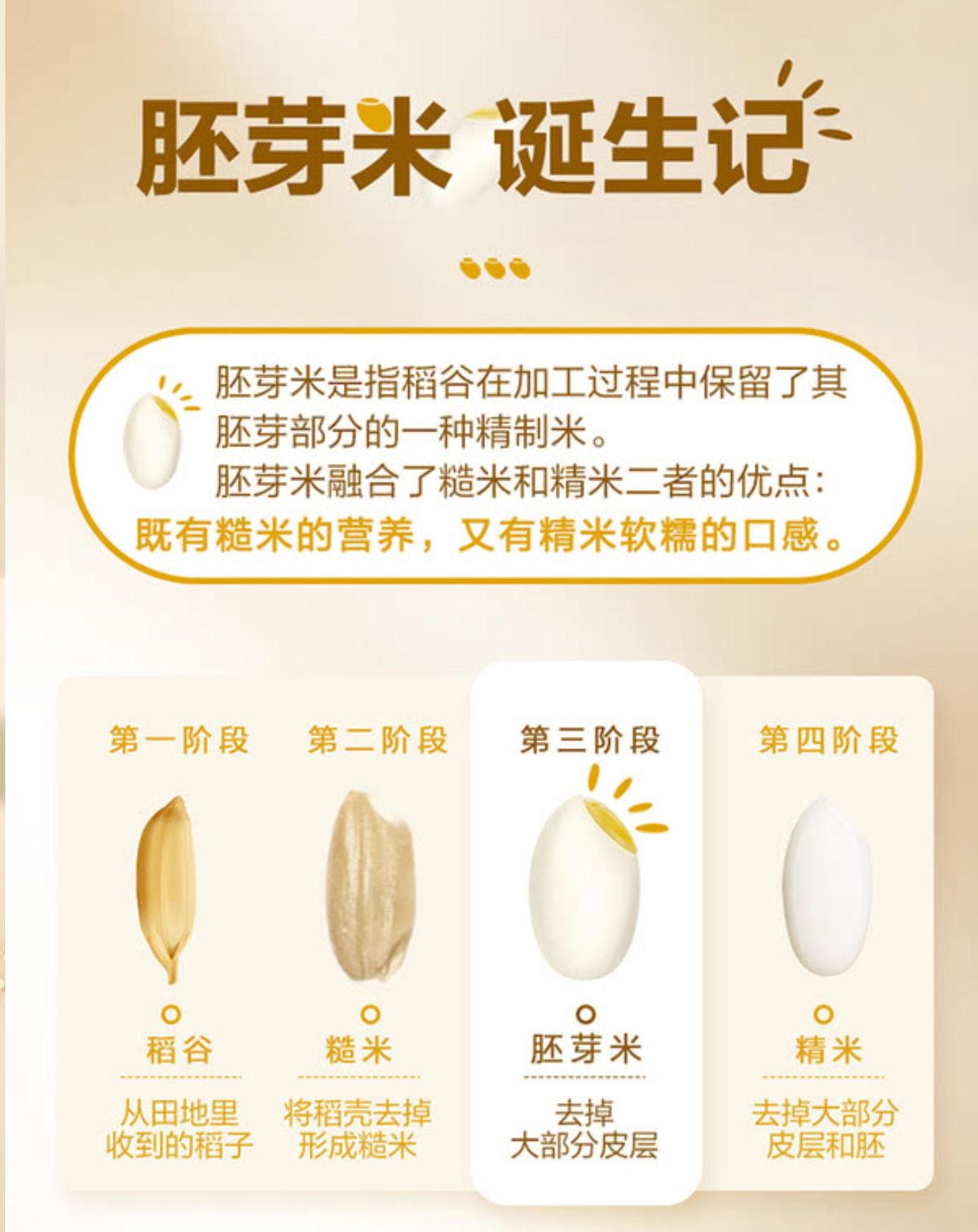 金龍魚 免淘洗胚芽米 5kg (1.25kg*4包) *新包裝 平行進口