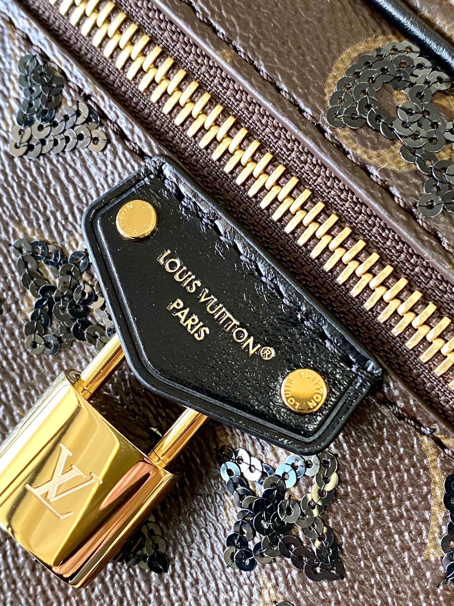 LV Louis Vuitton Vanity Chain Pouch 