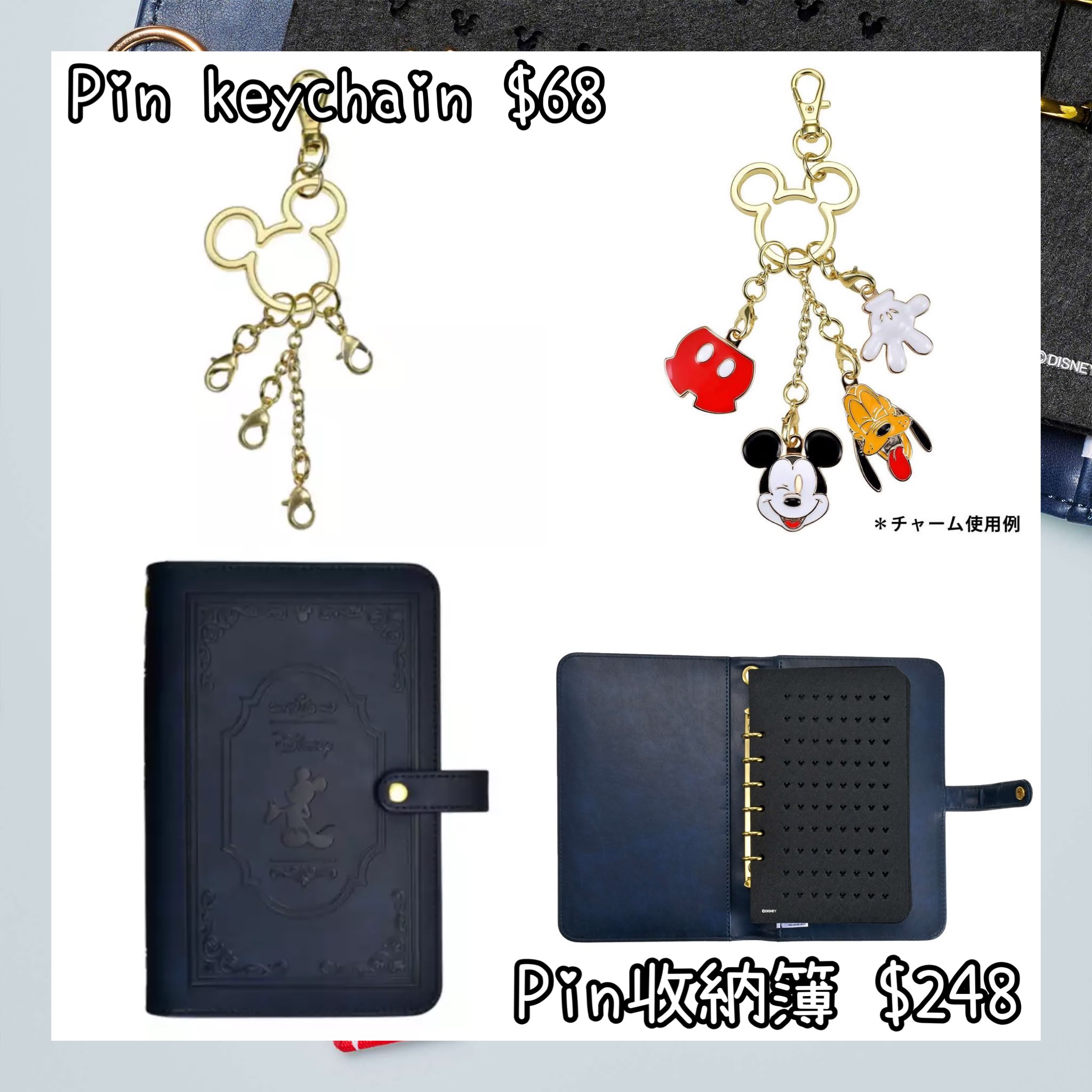 ：日本：PINS COLLECTION 6/10 日本發賣 PIN KEYCHAIN PIN 收納簿