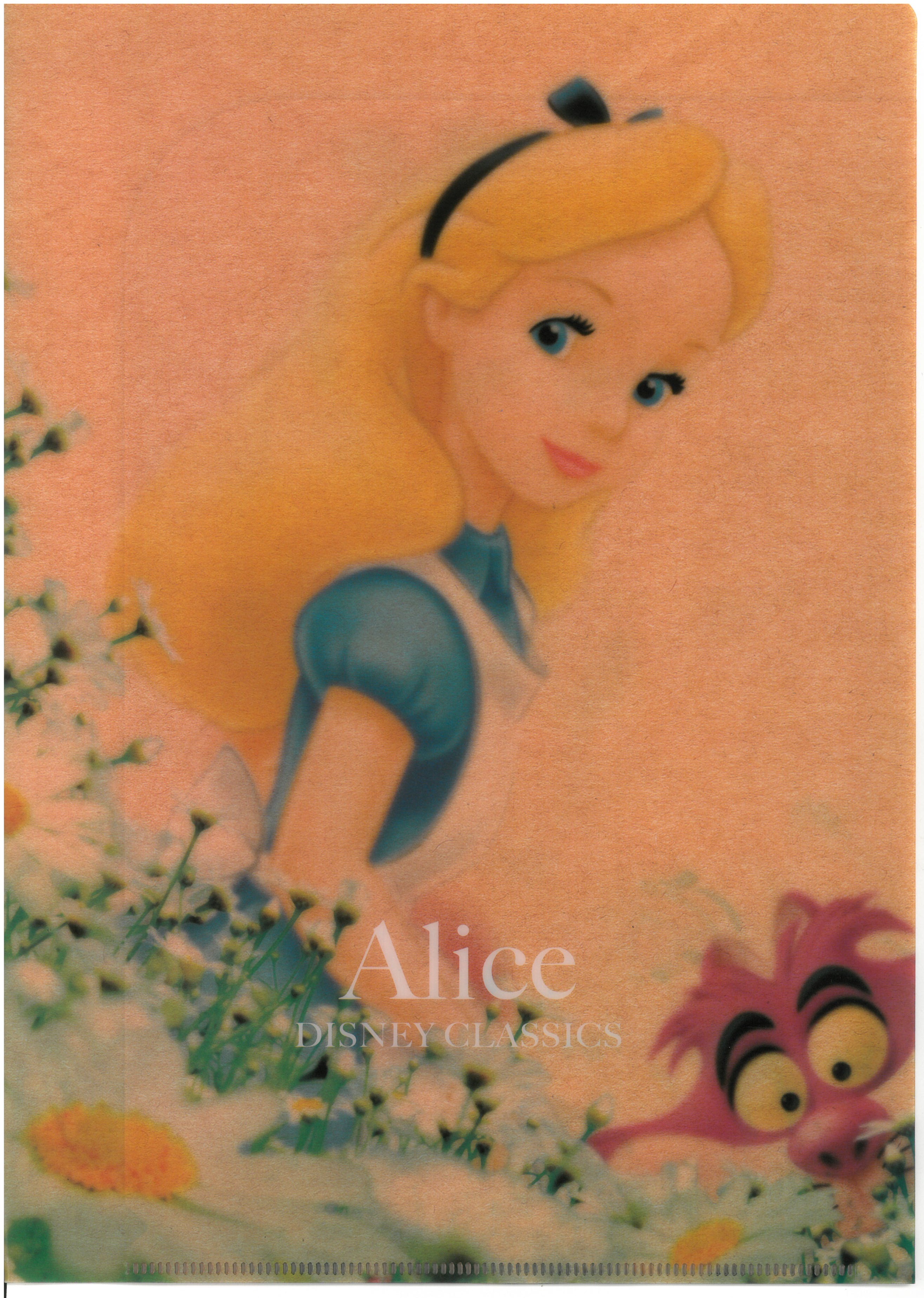 Alice 愛麗絲 A4雙開文件夾 (61354-2)