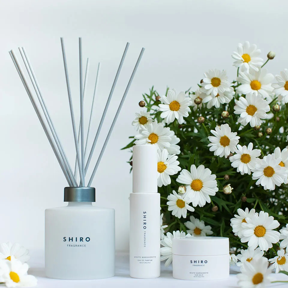 四月連線貨品 - 日本SHIRO White Marguerite限定系列