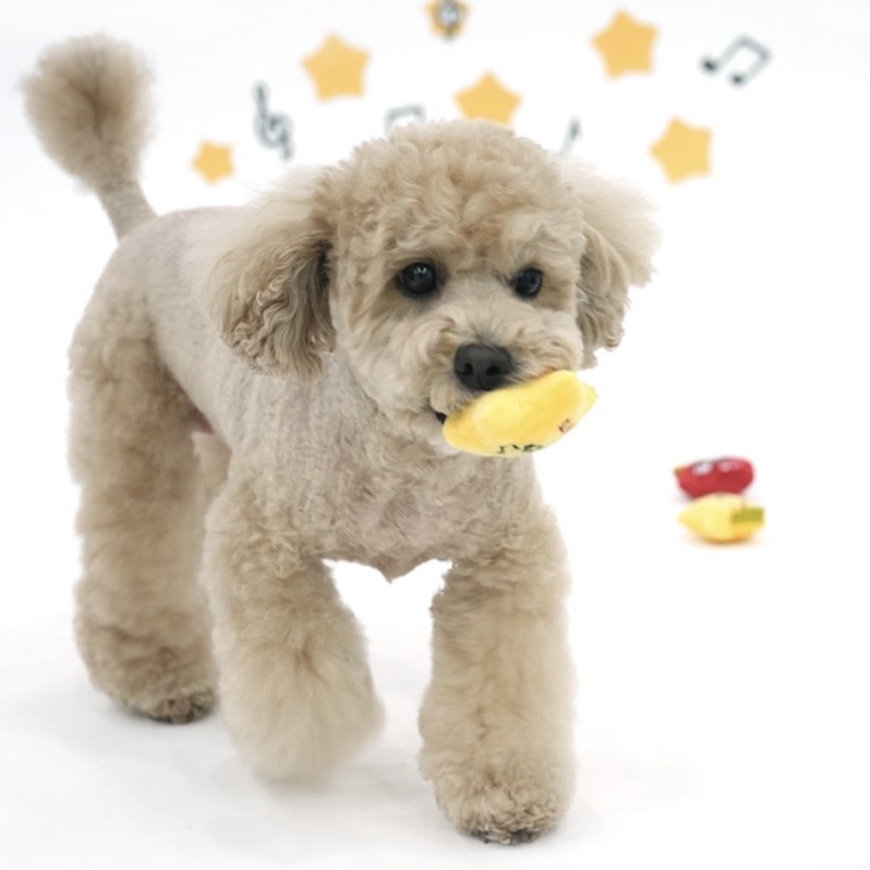 🇰🇷Peanuts Friends Sncak Toy 藏零食玩具