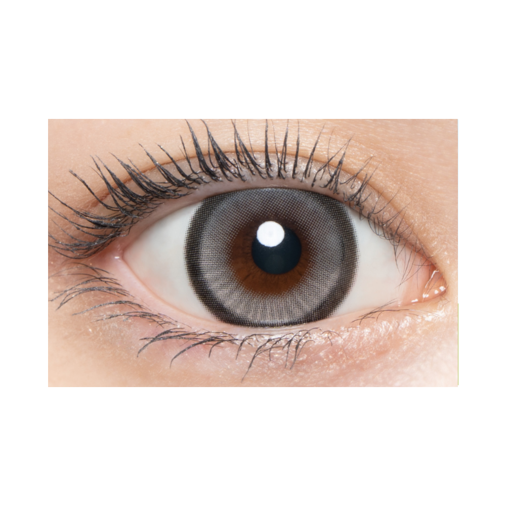 Loveil -  Dreamia Gray (1day/10P)