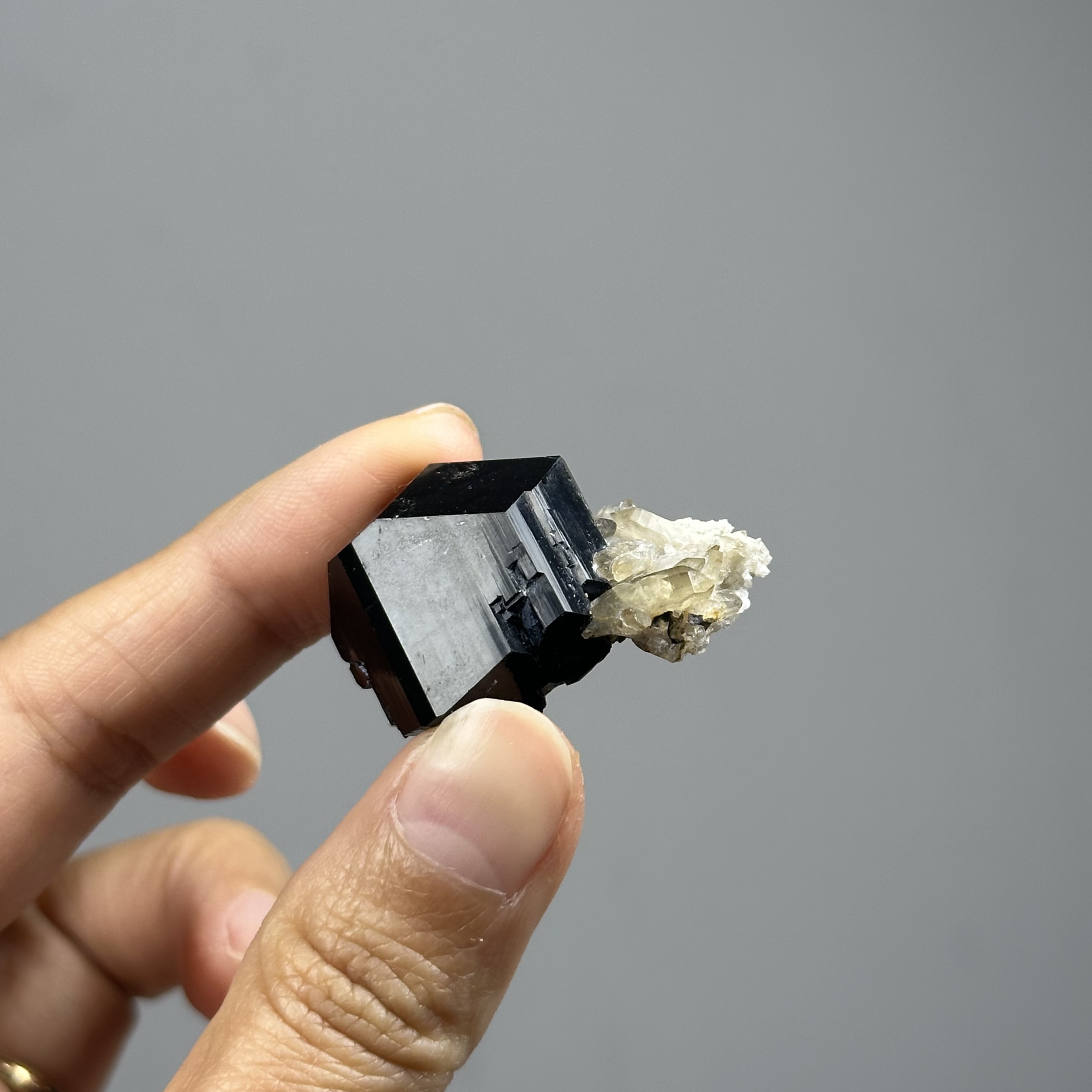 納米比亞 黑碧璽 - Schorl/ Black Tourmaline DR113