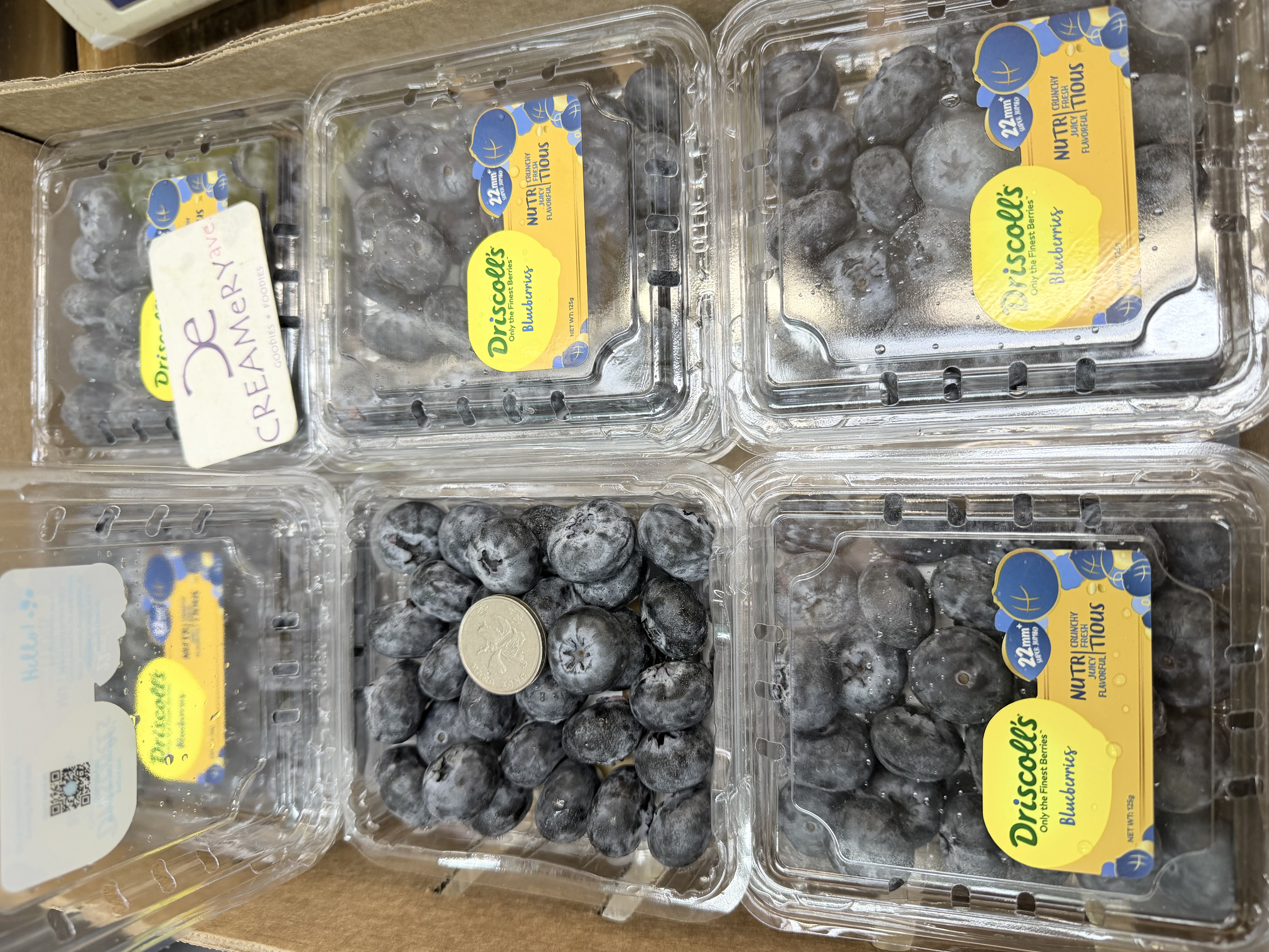 津巴布韋 Driscoll's  珍寶藍莓 Zimbabwe Driscoll's Jumbo Blueberries 盒裝 ±125g/盒