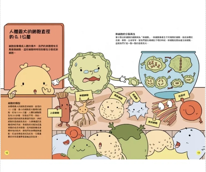 出清特價--双美--STEAM圖解百科：人體