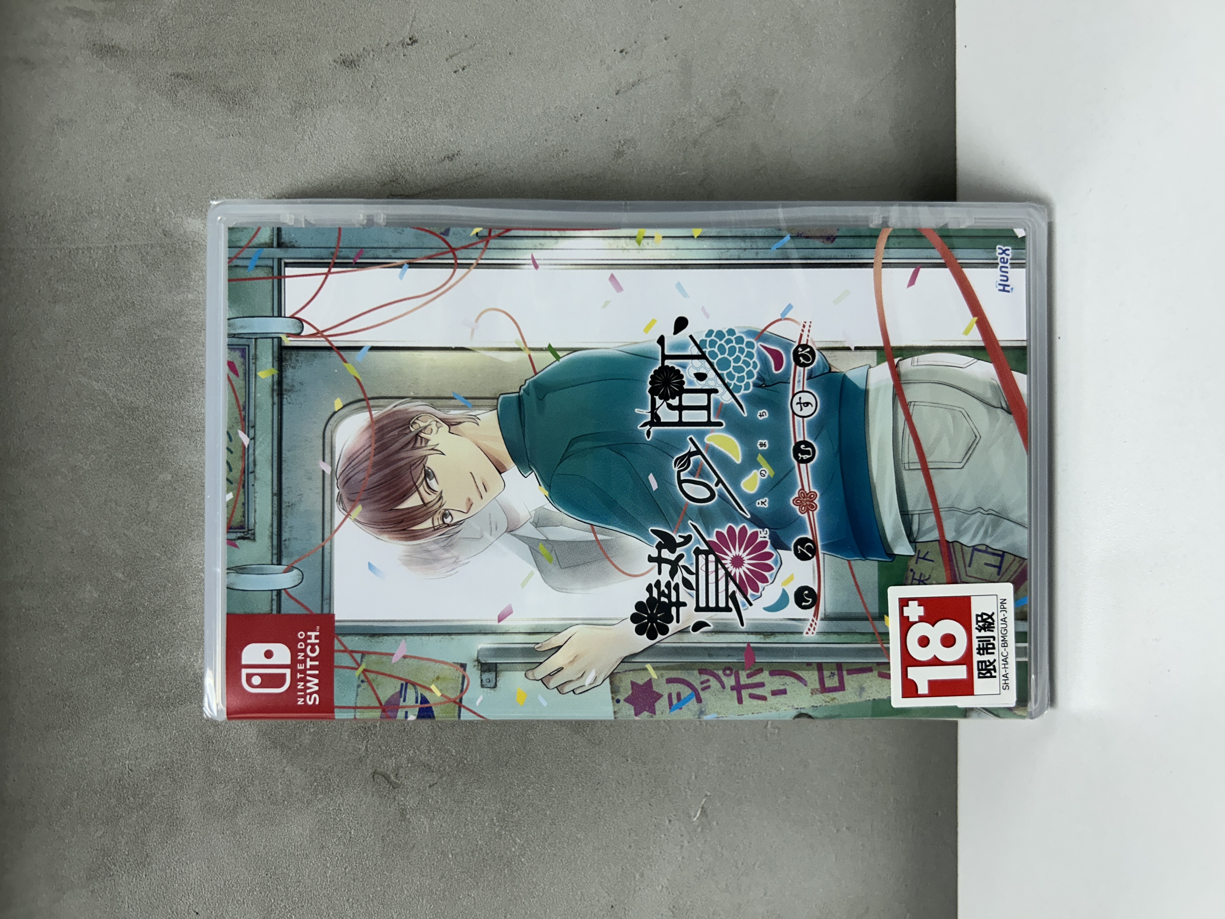 【香港行貨】Nintendo Switch 活祭之城 彩結  The Town of Nie Iro musubi