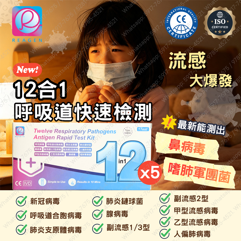 REAGEM-(5盒) 12合1快速抗原檢測試劑盒/新冠病毒/甲乙流病毒腺病毒/肺炎支原體/肺炎衣原體/副流感1/3型/2型病毒合胞病毒/人類偏肺病毒/鼻病毒/嗜肺軍團菌
