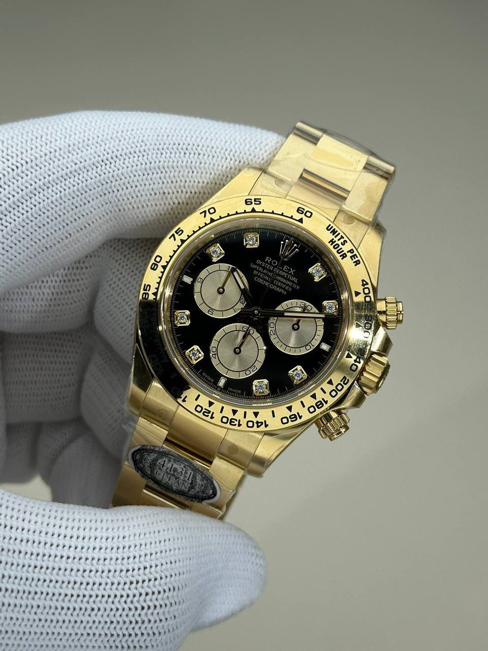 C厂！新款金迪🌟