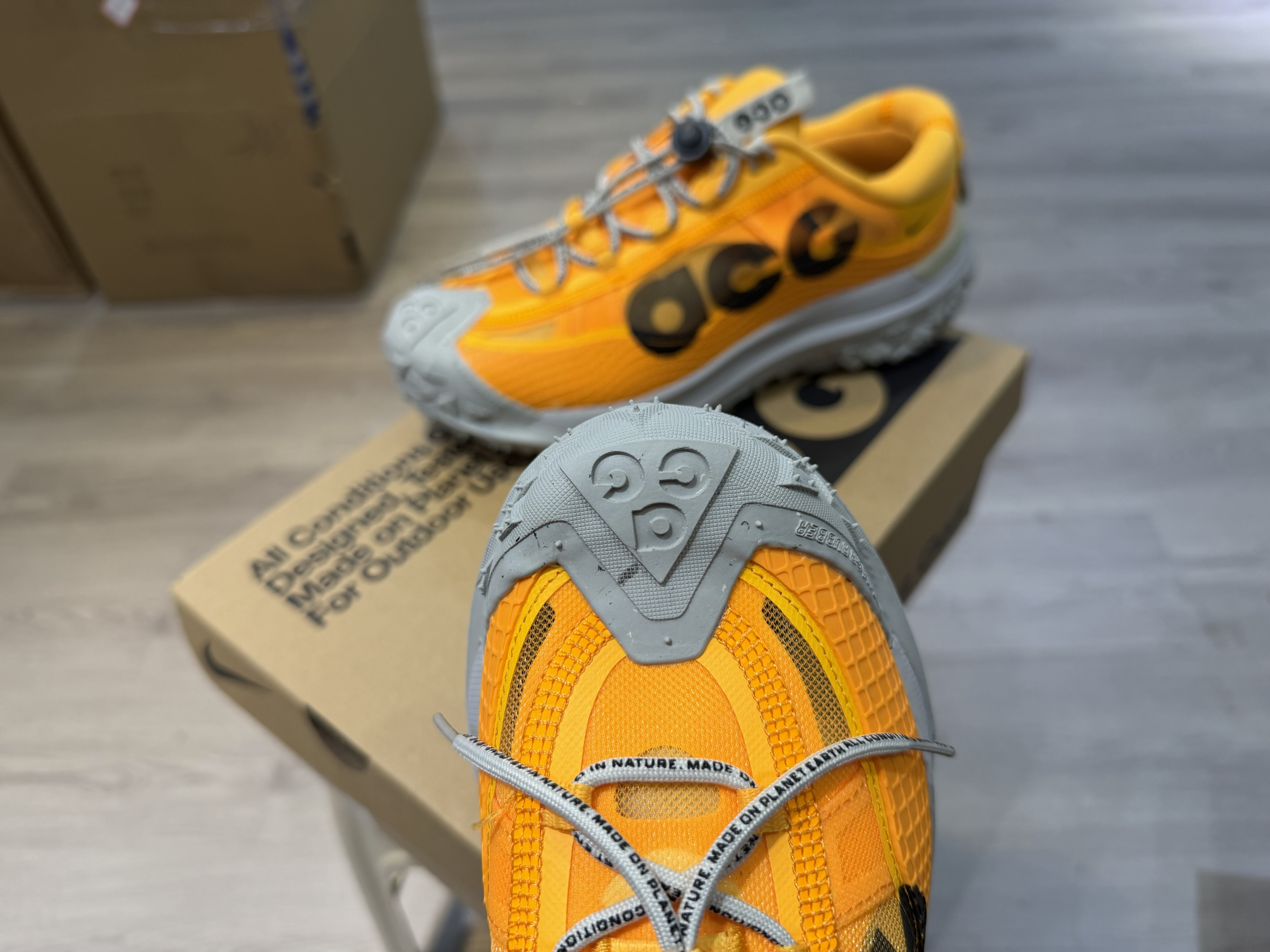 Nike ACG Mountain Fly 2 Low