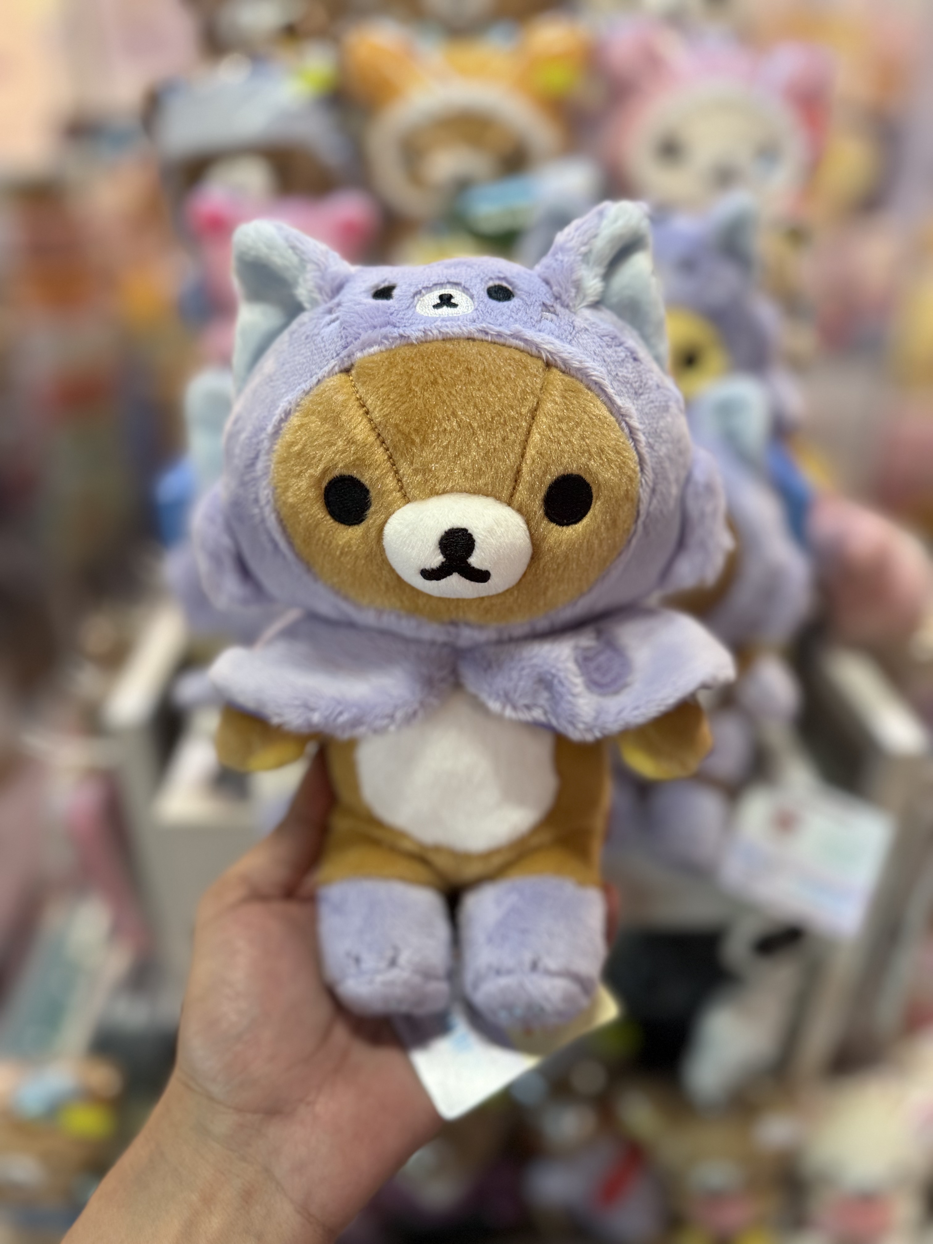 《現貨》全新Rilakkuma瓦瓦貓系列公仔