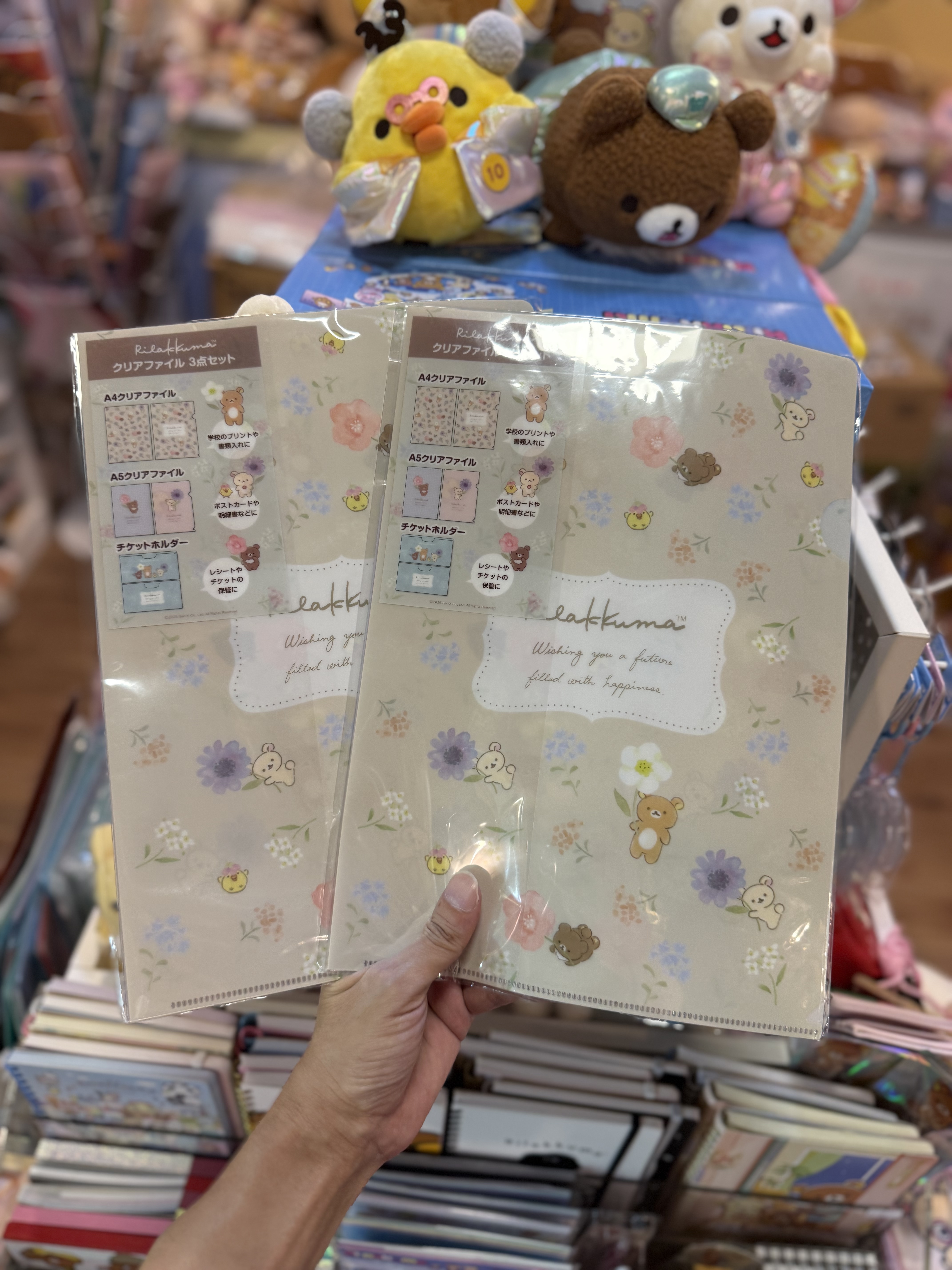 《現貨》全新日本郵便局限定 Rilakkuma A5+A4file+收據袋