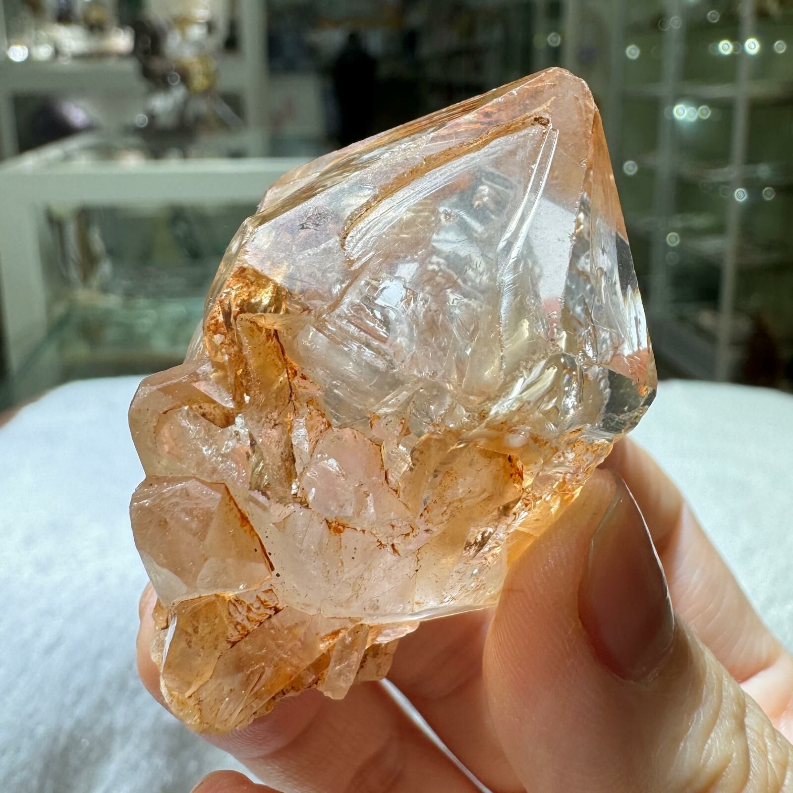 紅泥骸骨水晶 - 3