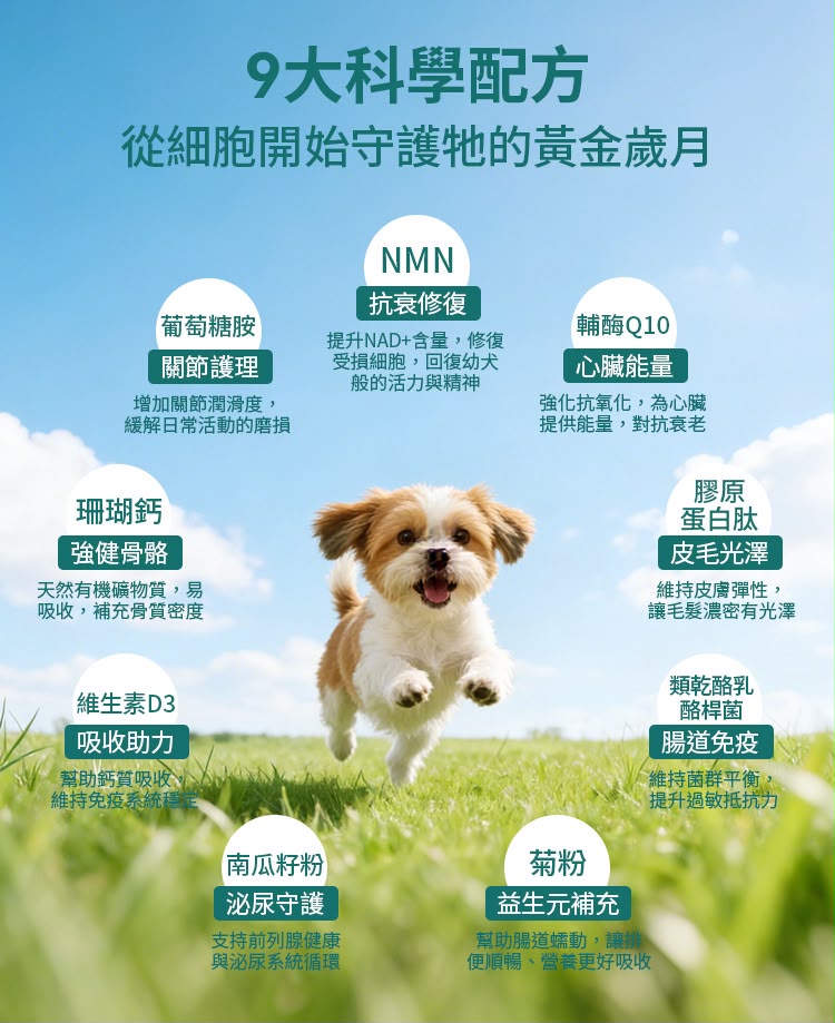 HaBibi®️ 狗狗NMN抗衰黃金配方 [中小型犬] 日本製造