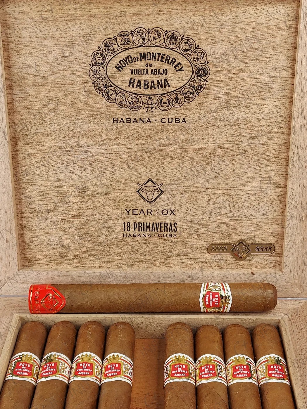 Hoyo de Monterrey Primaveras (Year of The OX | 2020 | PCC) (18'S)