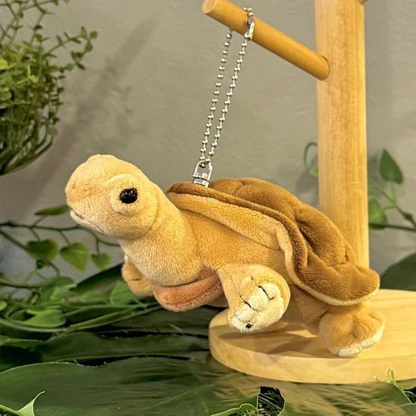 Tortoise 烏龜公仔
