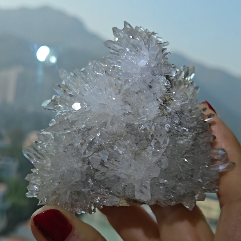 Chrysanthemum needle quartz with flower buds - CQ477