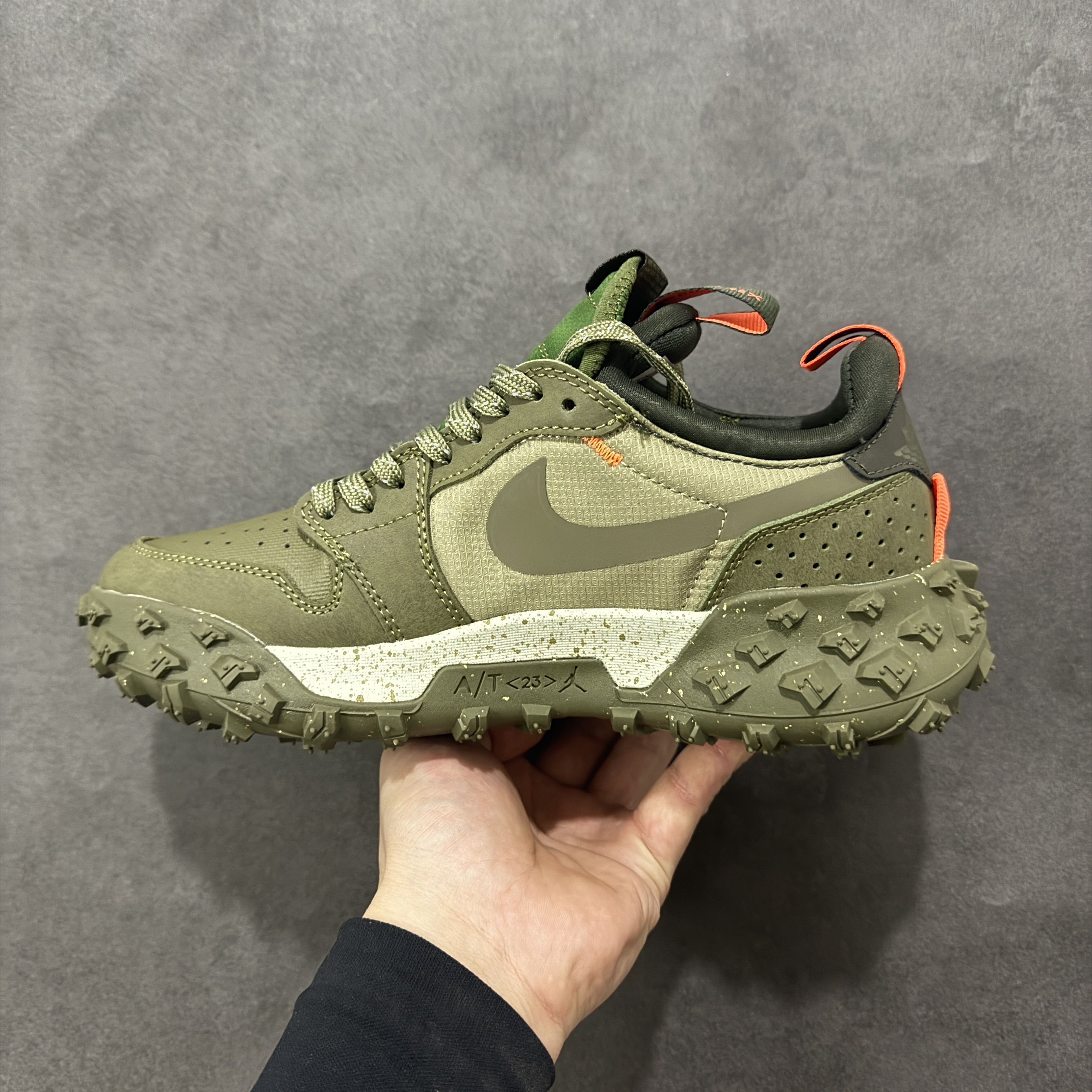 Nike Jordan 1 Low Element Gore-Tex FV4227-201