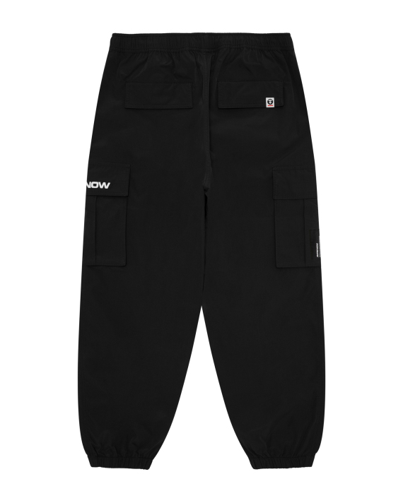 AAPENOW cargo pants (D644XXR)