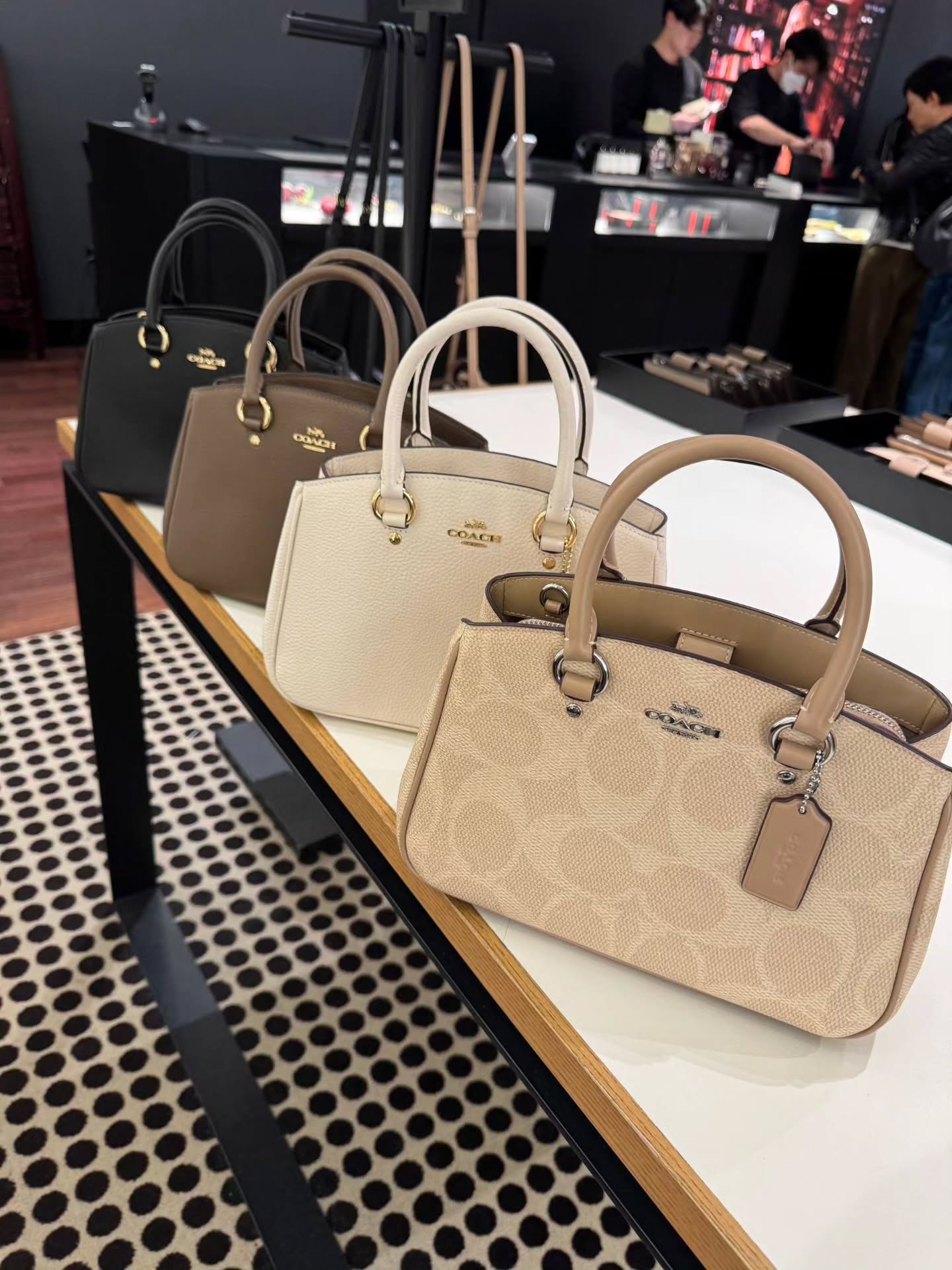 🇯🇵Coach Savannah 戴妃包