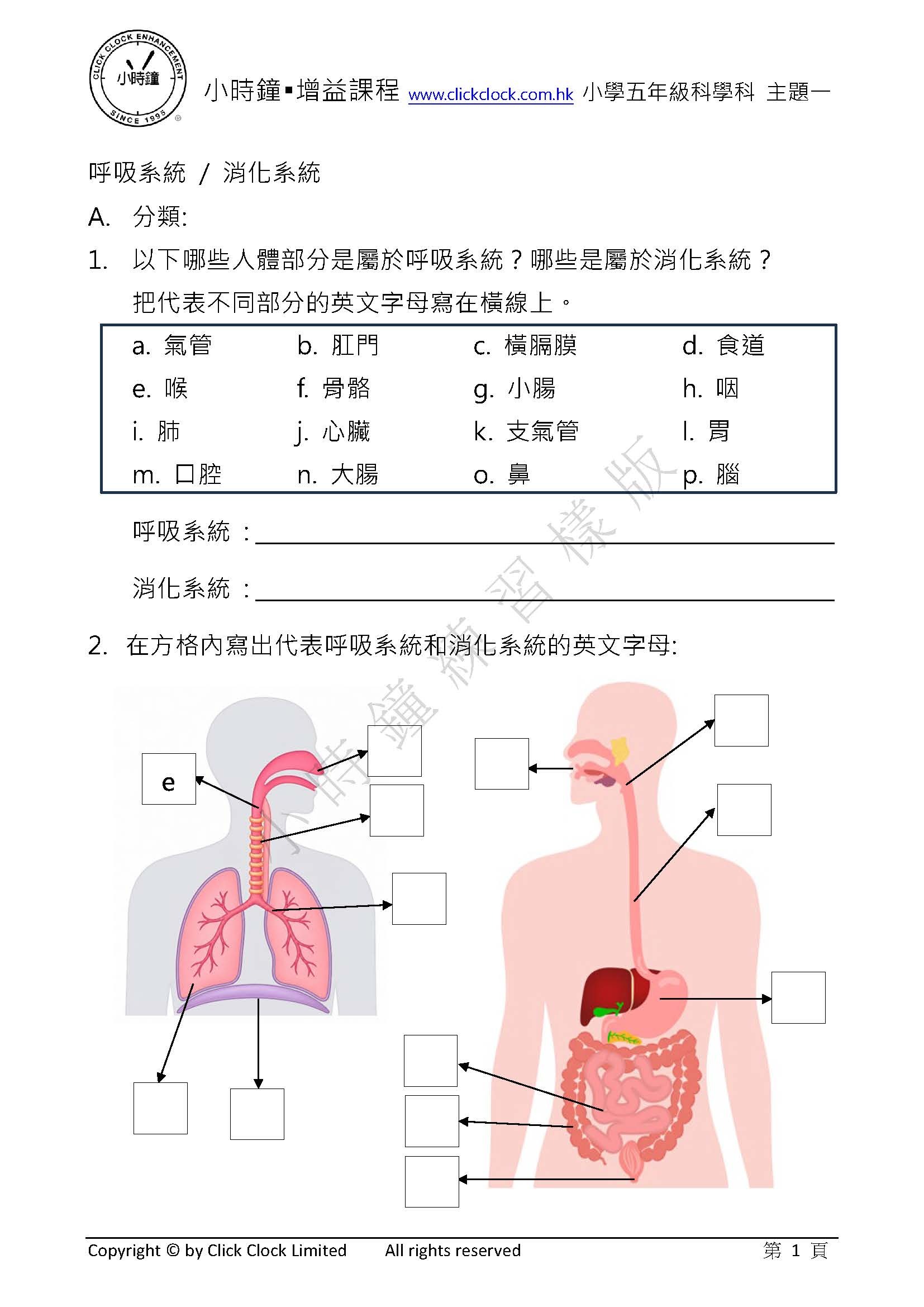 P5 小學 科學科 (中文版)