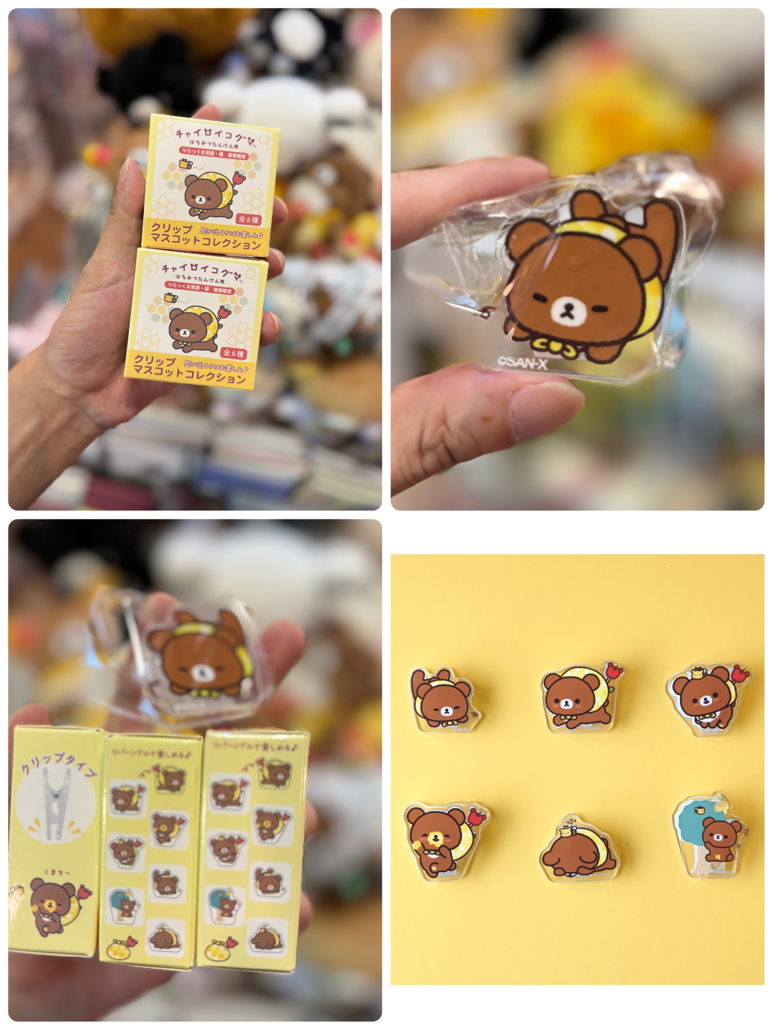 《現貨》全新日本小熊10週年紀念巡迴pop up店限定小熊探險隊系列夾仔（隨機抽）