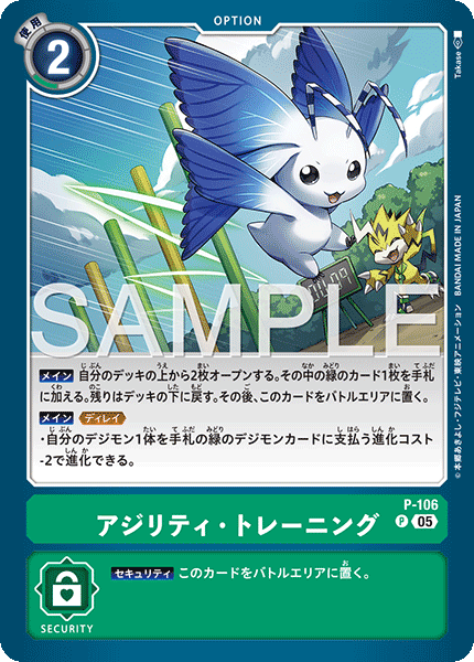 P-106P4 アジリティ・トレーニング (異畫/AD1)