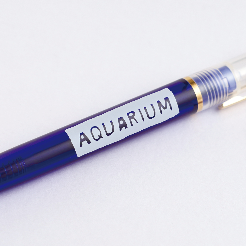 現貨｜水獺 AQUARIUM 北村人 x GreenFlash 日本製 ANTERIQUE 0.5mm 黑色 原子筆 (KJ-033)