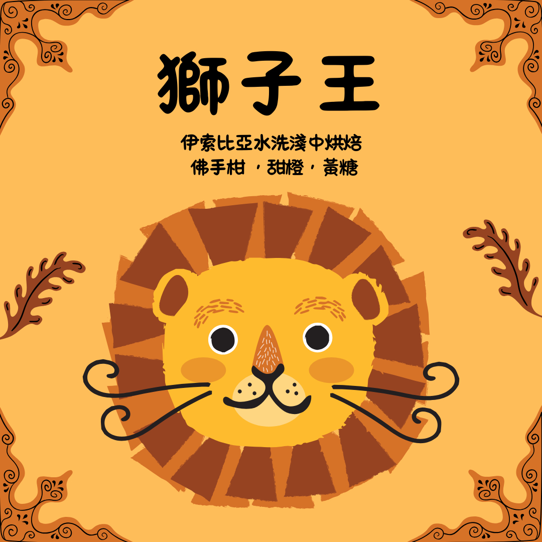 獅子王-衣索比亞 西達摩 淺中烘焙-掛耳咖啡( 12g X6bags)