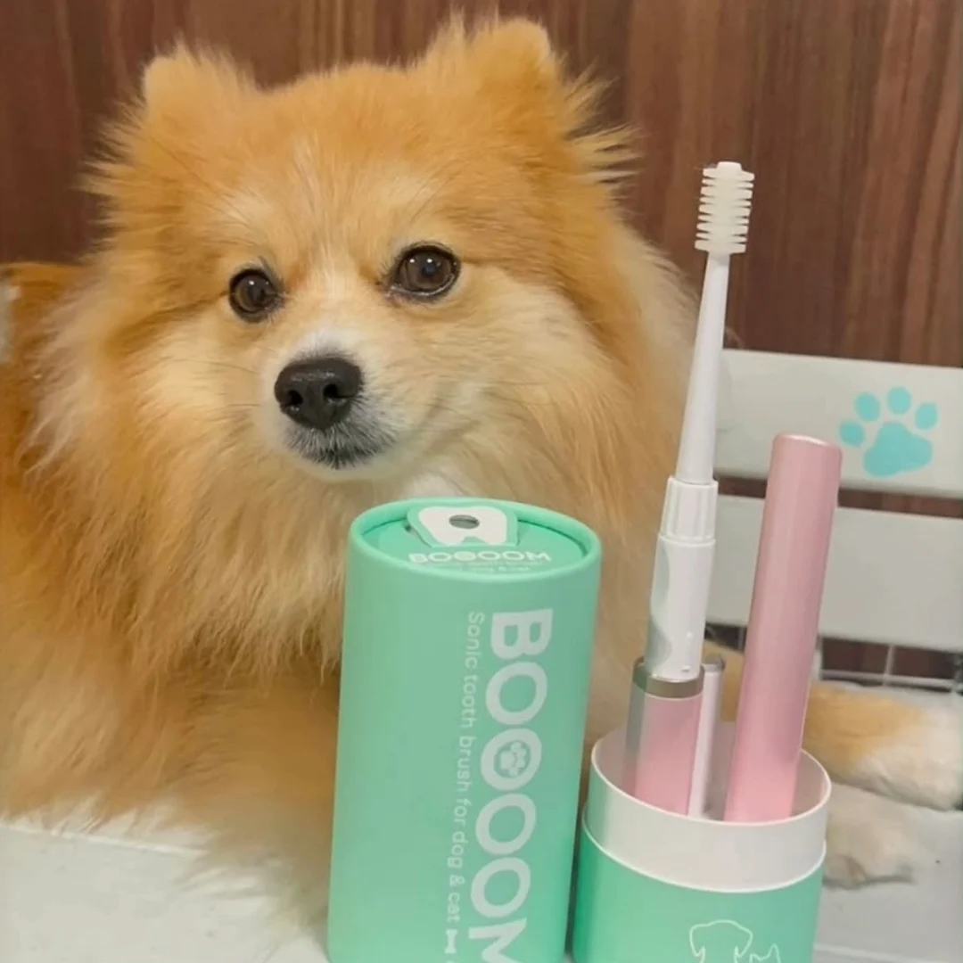 BOOOOM【🇯🇵日本製】優惠套裝☆寵物專用360°聲波振動牙刷+替換刷頭