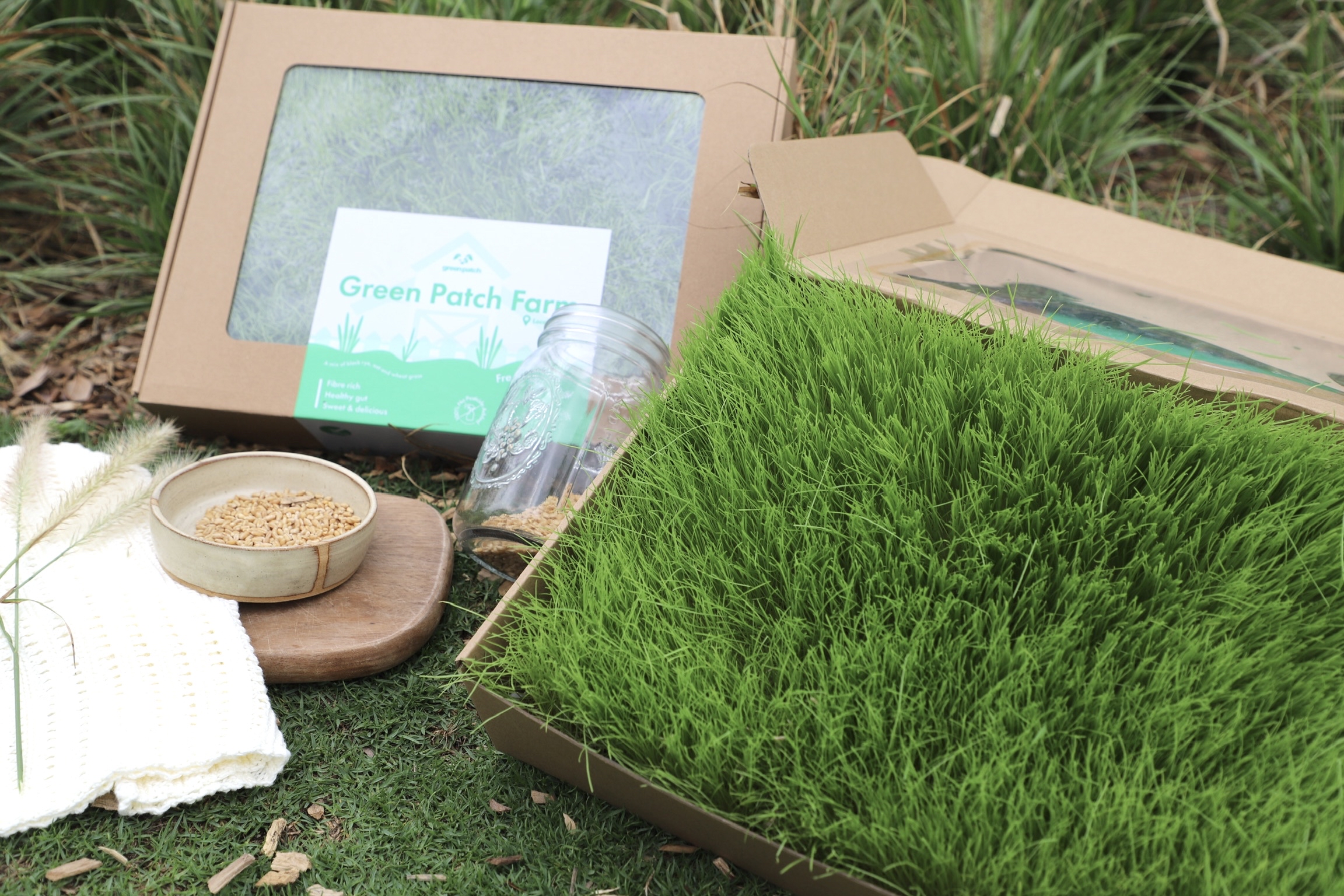 香港 Green Patch Farm Fresh Meadow 小寵物黑麥草X燕麥草 真·草皮