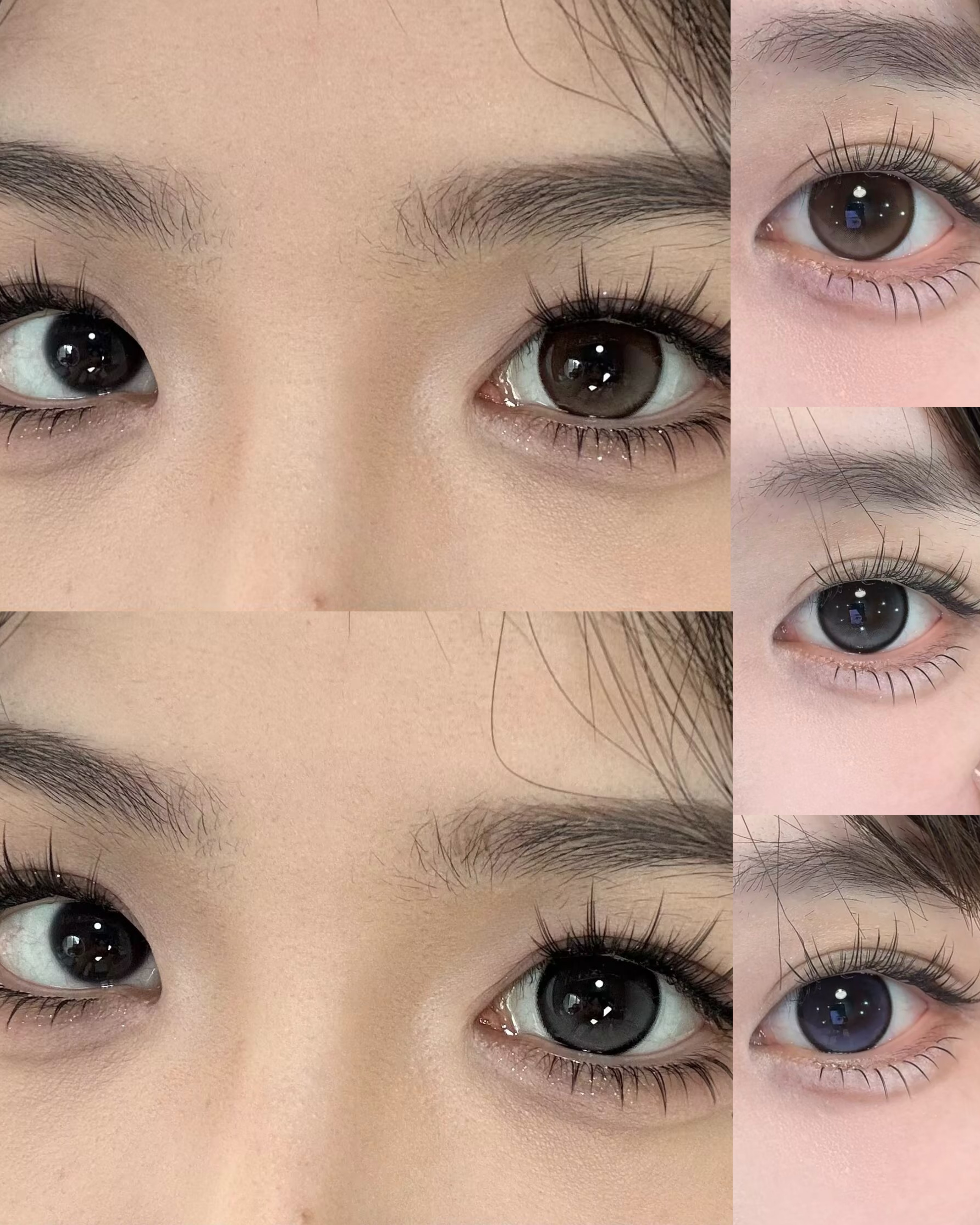 Yukicon 日拋2片 栀子系列