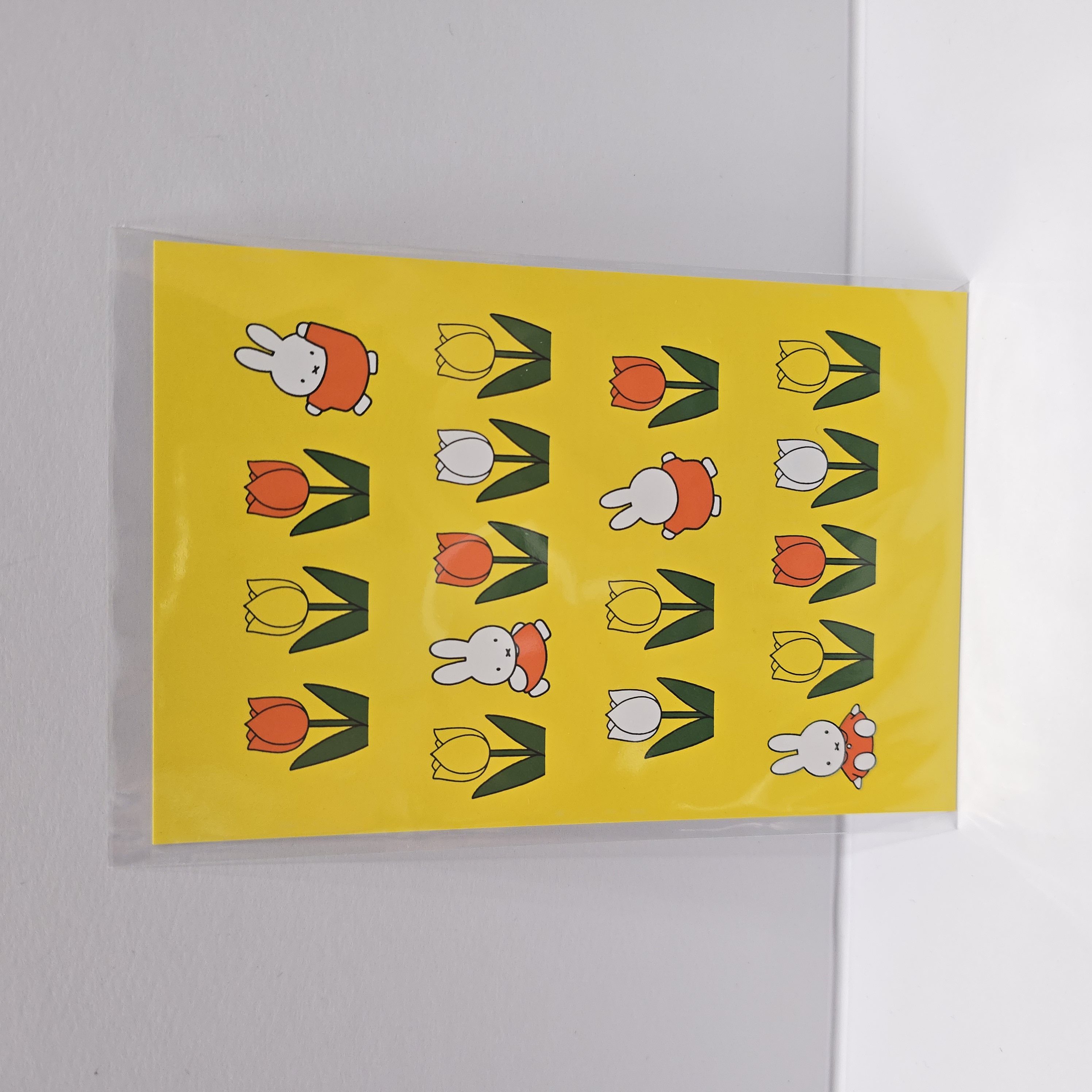 miffy zakka 限定 postcard BNMZ6-PC254