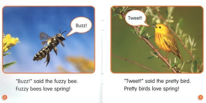 Scholastic Guided Science Readers ABCDEF 學樂小讀者 科學指導｜5 boxes｜點讀版