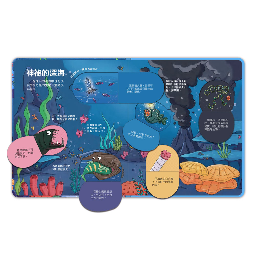 📚預訂 台灣直送📚百問百答圖解翻翻書-揭祕海洋