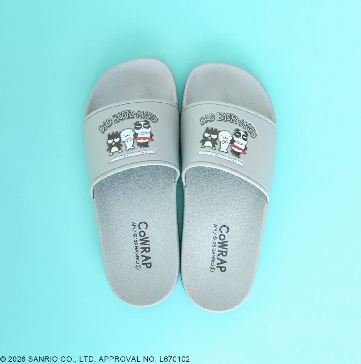 日本預訂📍日本Sanrio可愛圖案夏日拖鞋 1/4日本開售