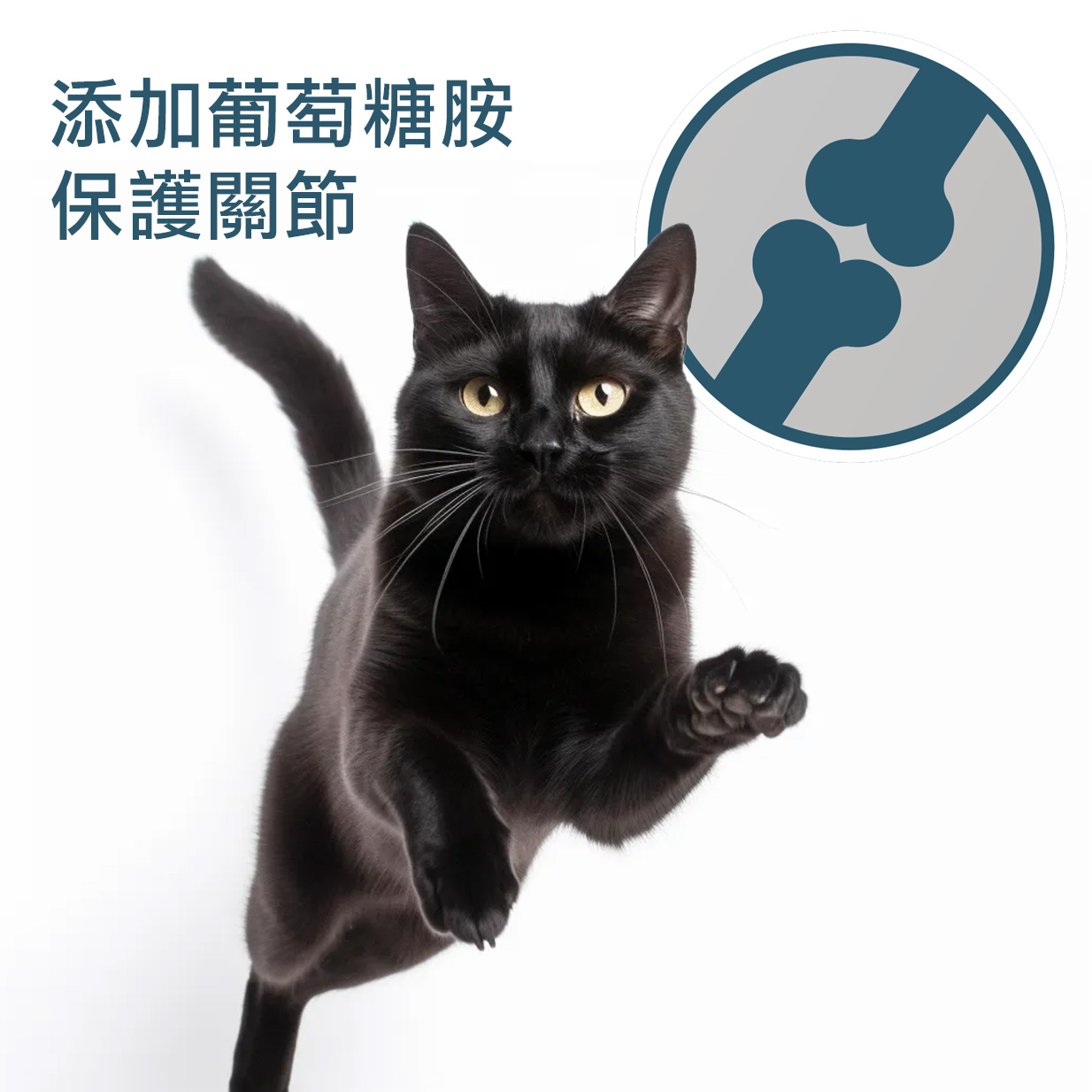 全方位羊奶粉貓狗通用｜喵探長｜台灣製造