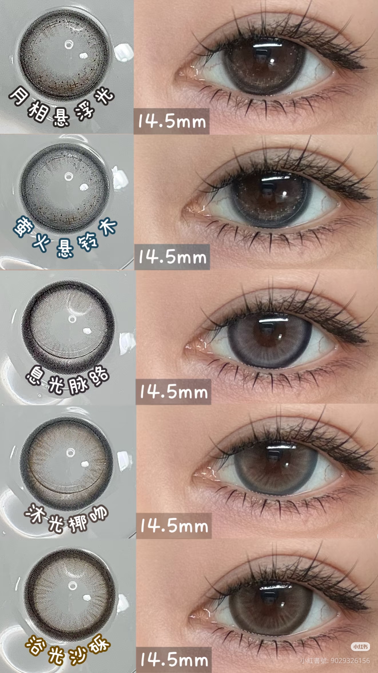 FullyGift 半年拋 浴光沙礫/息光脉絡/沐光椰吻