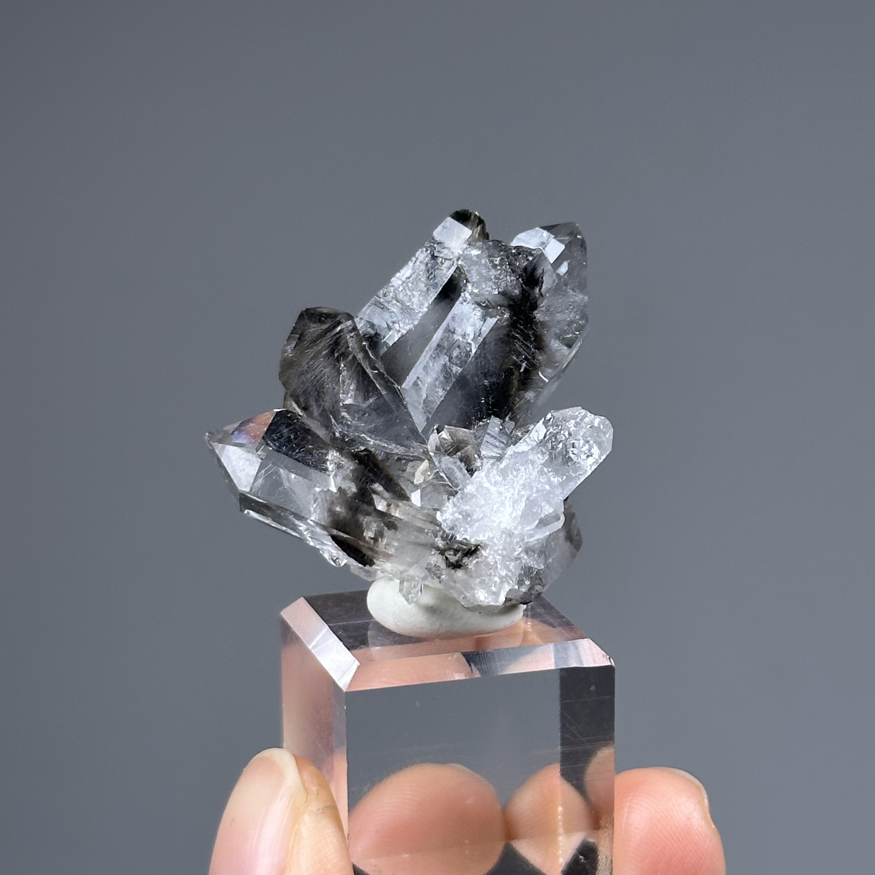 黑銀鈦水晶簇 - Brookite and Rutile Quartz | RU016