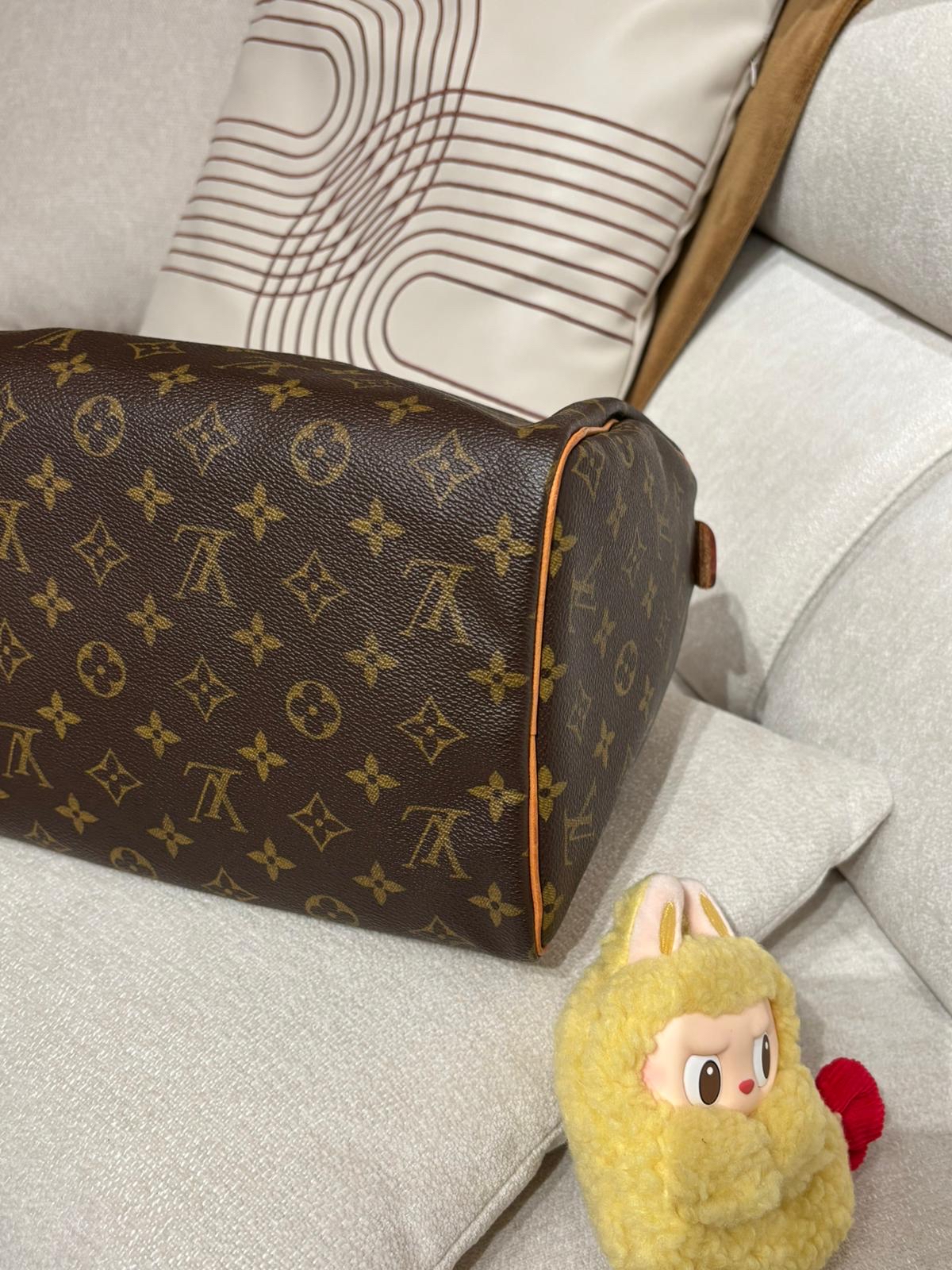 Lv speedy 30 monogram 100%Authentic,92%new✅塵袋 