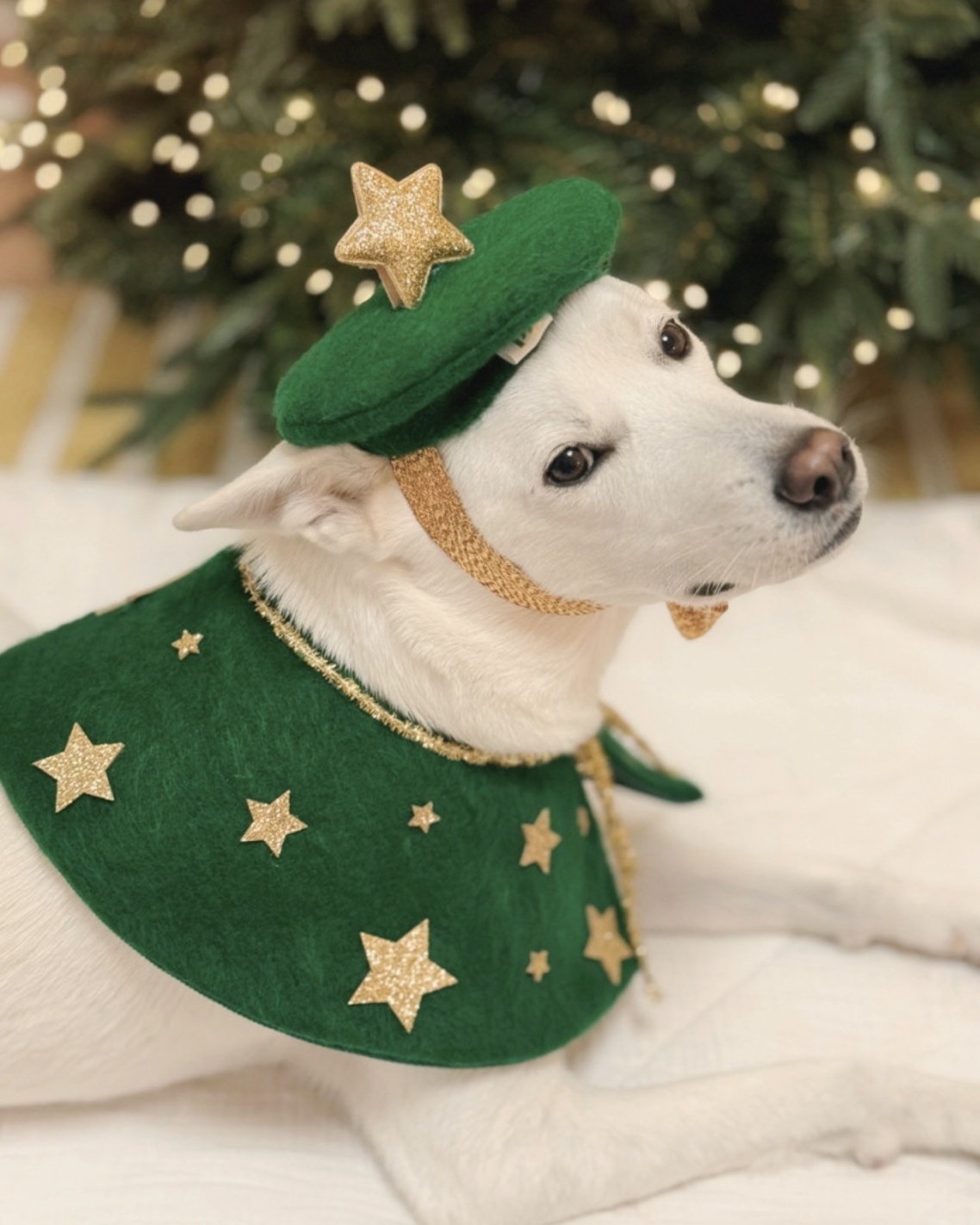 韓國🇰🇷  Christmas Tree cape