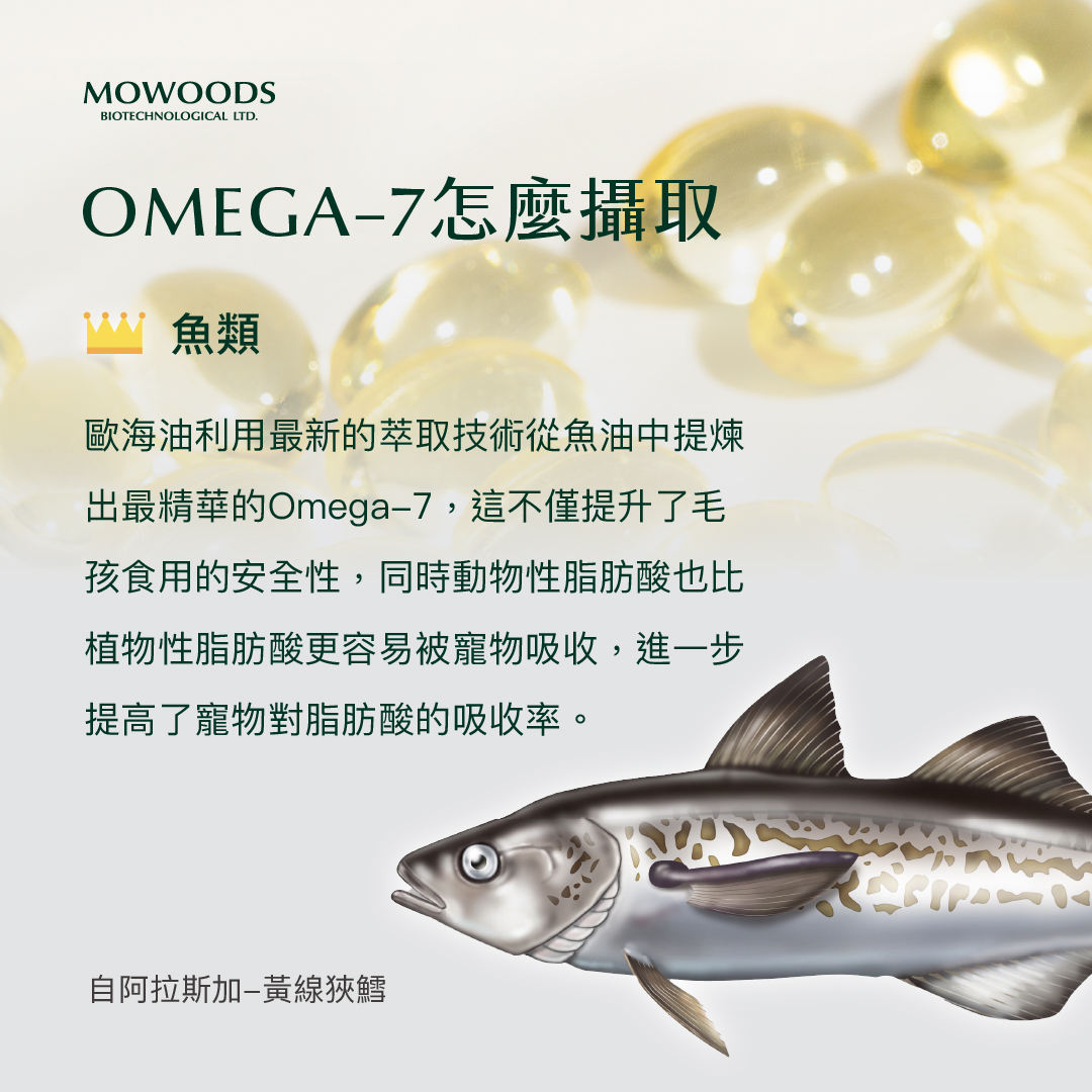 MOWOODS 歐海油 Omega-3+7 寵物魚油 - 雙倍保護力，呵護愛寵健康