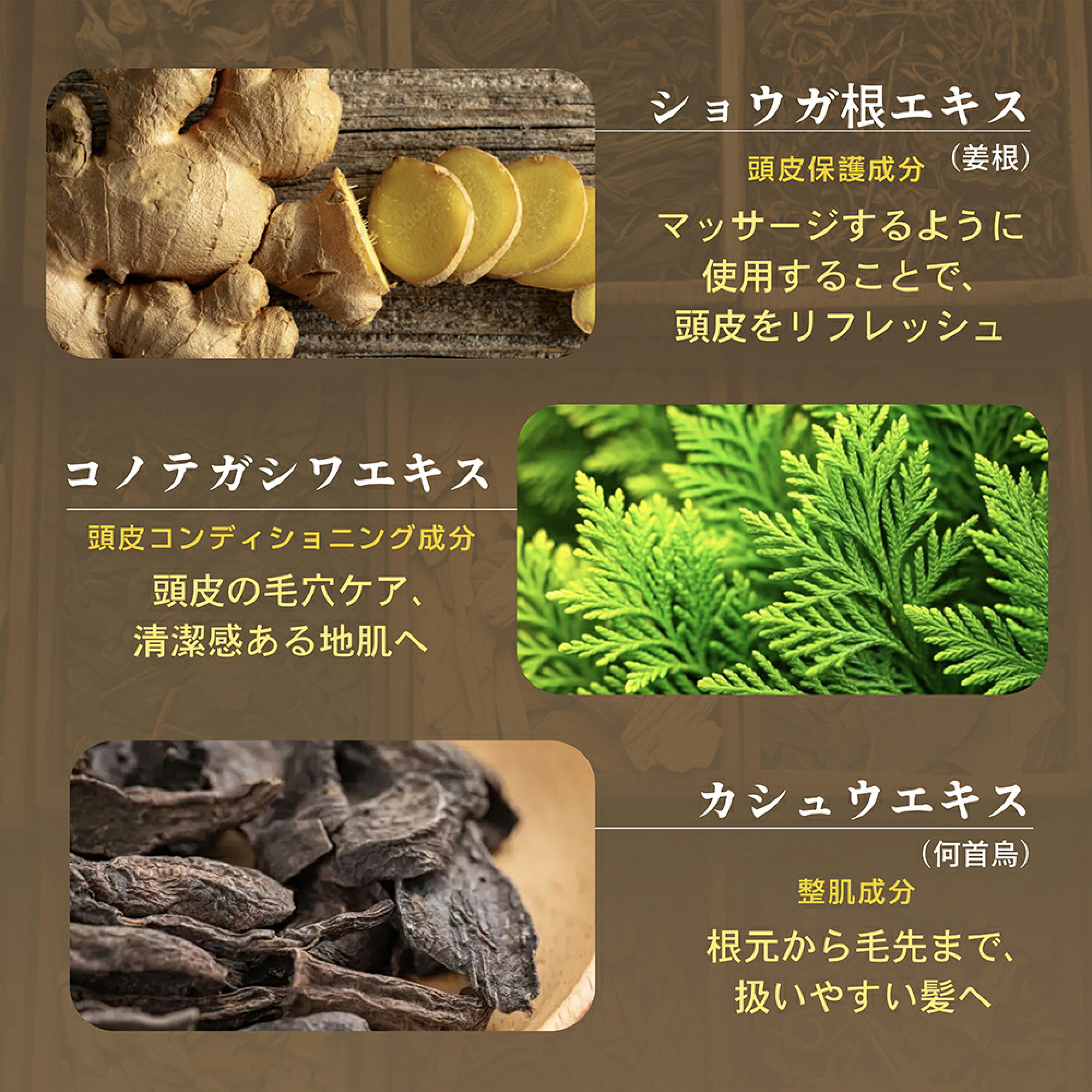 日本Costco 本週特價 Seika 全洗髮水&護髮素套裝 400ml x 2